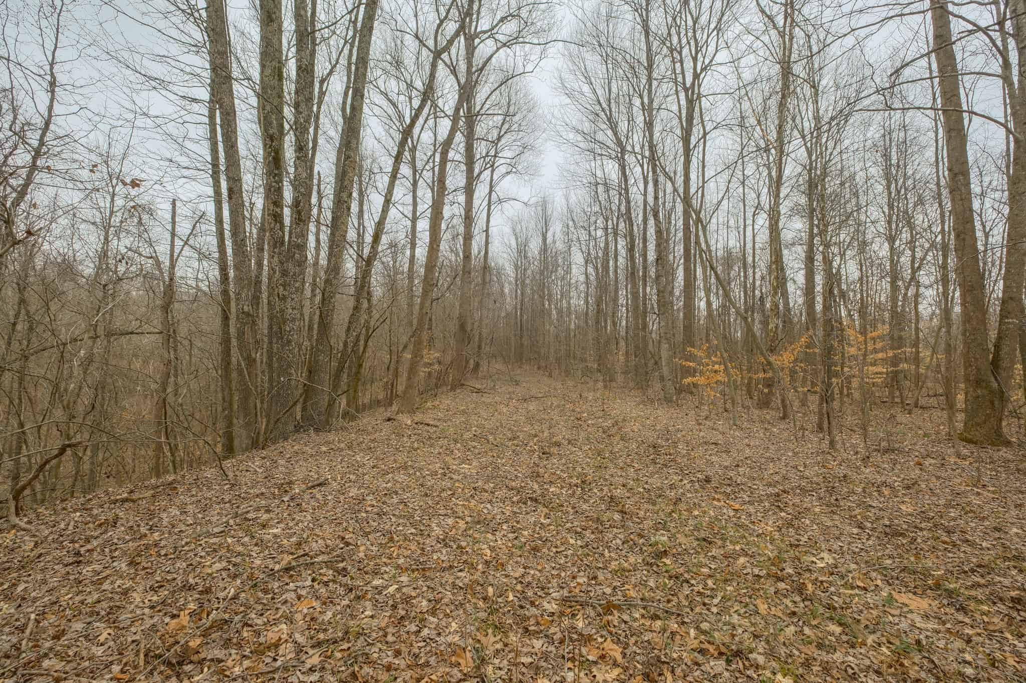 69 Acre Hunting Land For Sale in Lauderdale County, TN