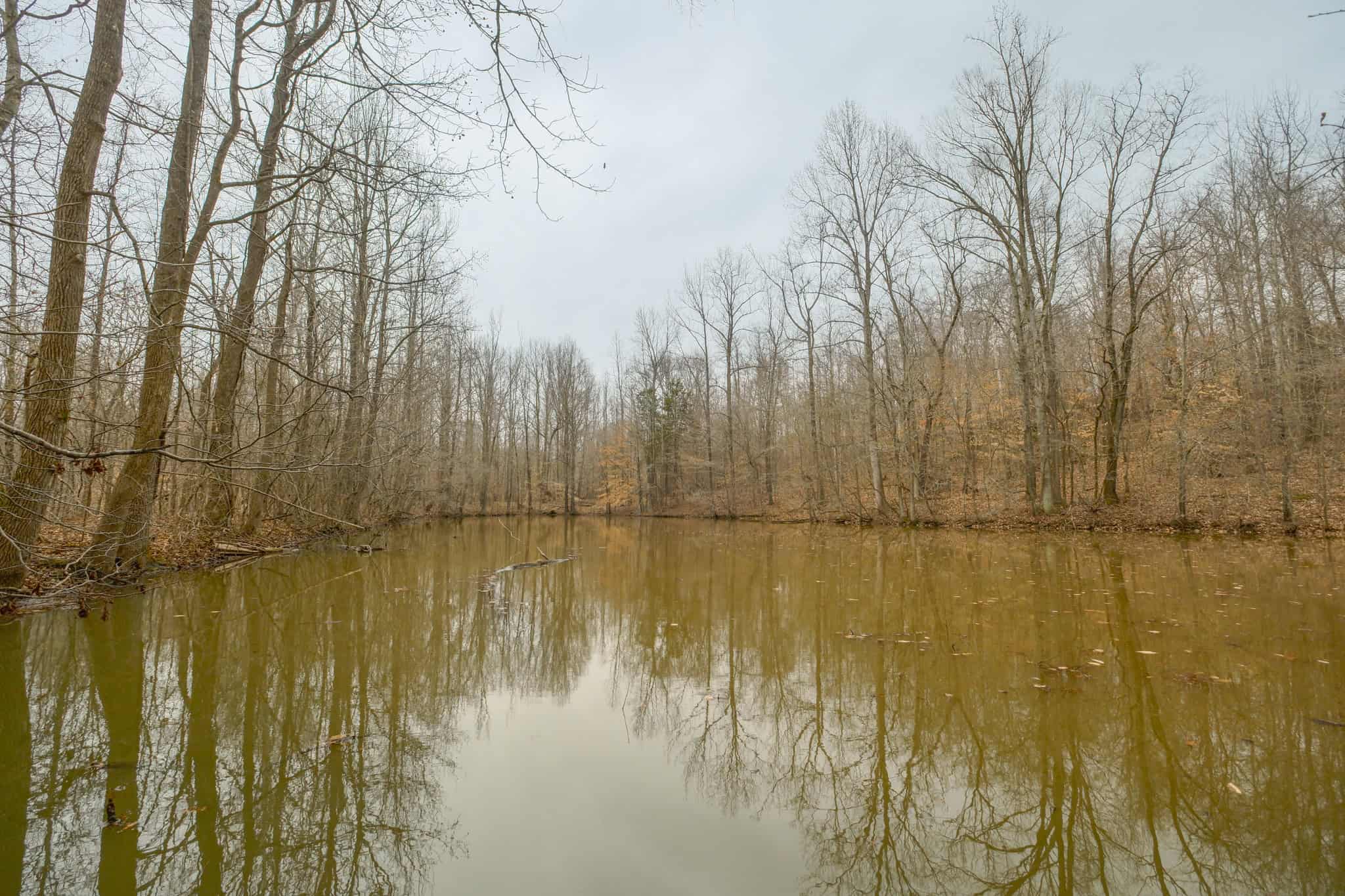 69 Acre Hunting Land For Sale in Lauderdale County, TN