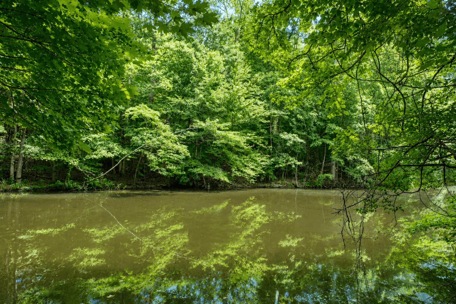 69 Acre Hunting Land For Sale in Lauderdale County, TN