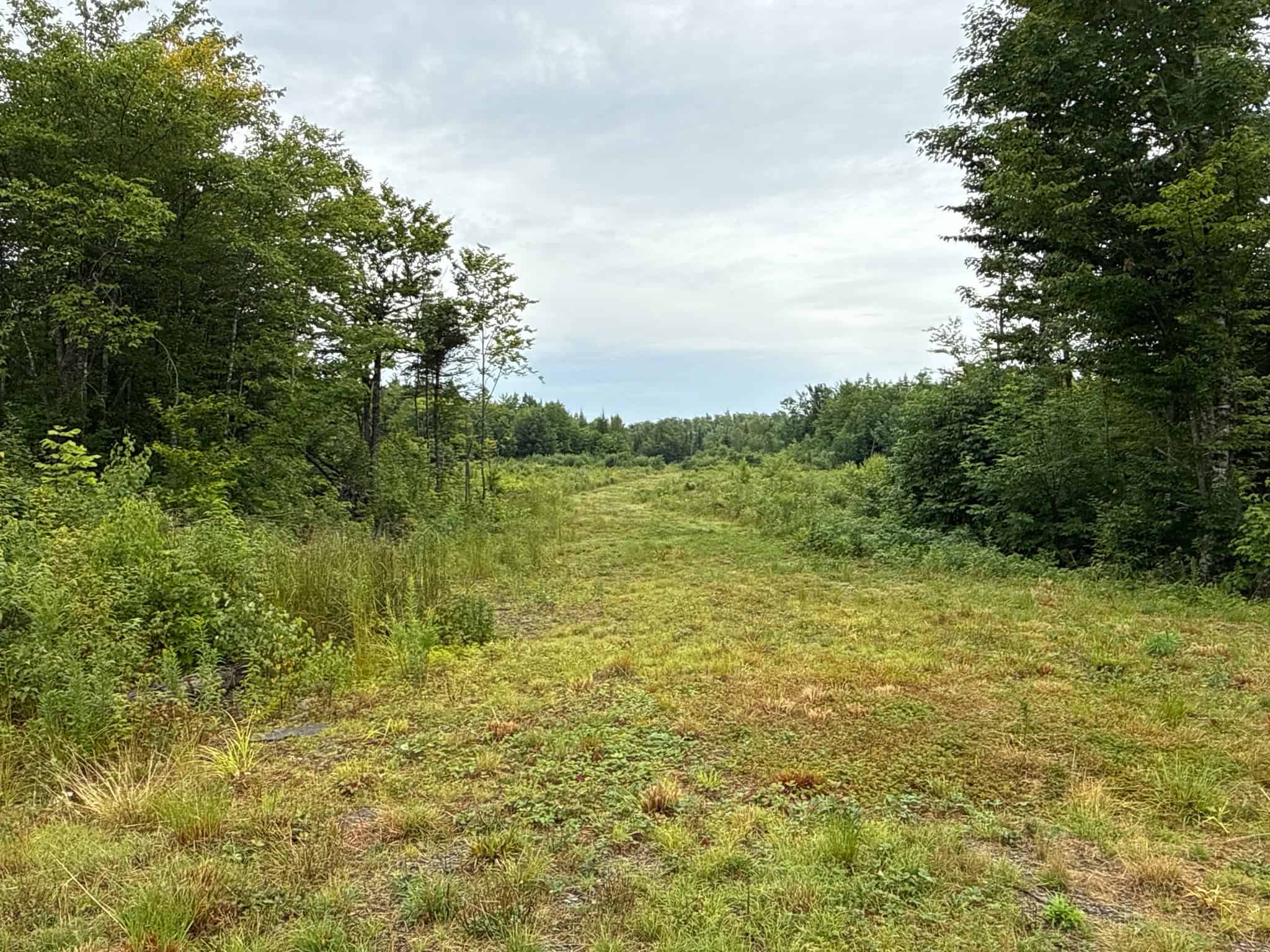 109.54 Acres of Maine Land with Brook Frontage