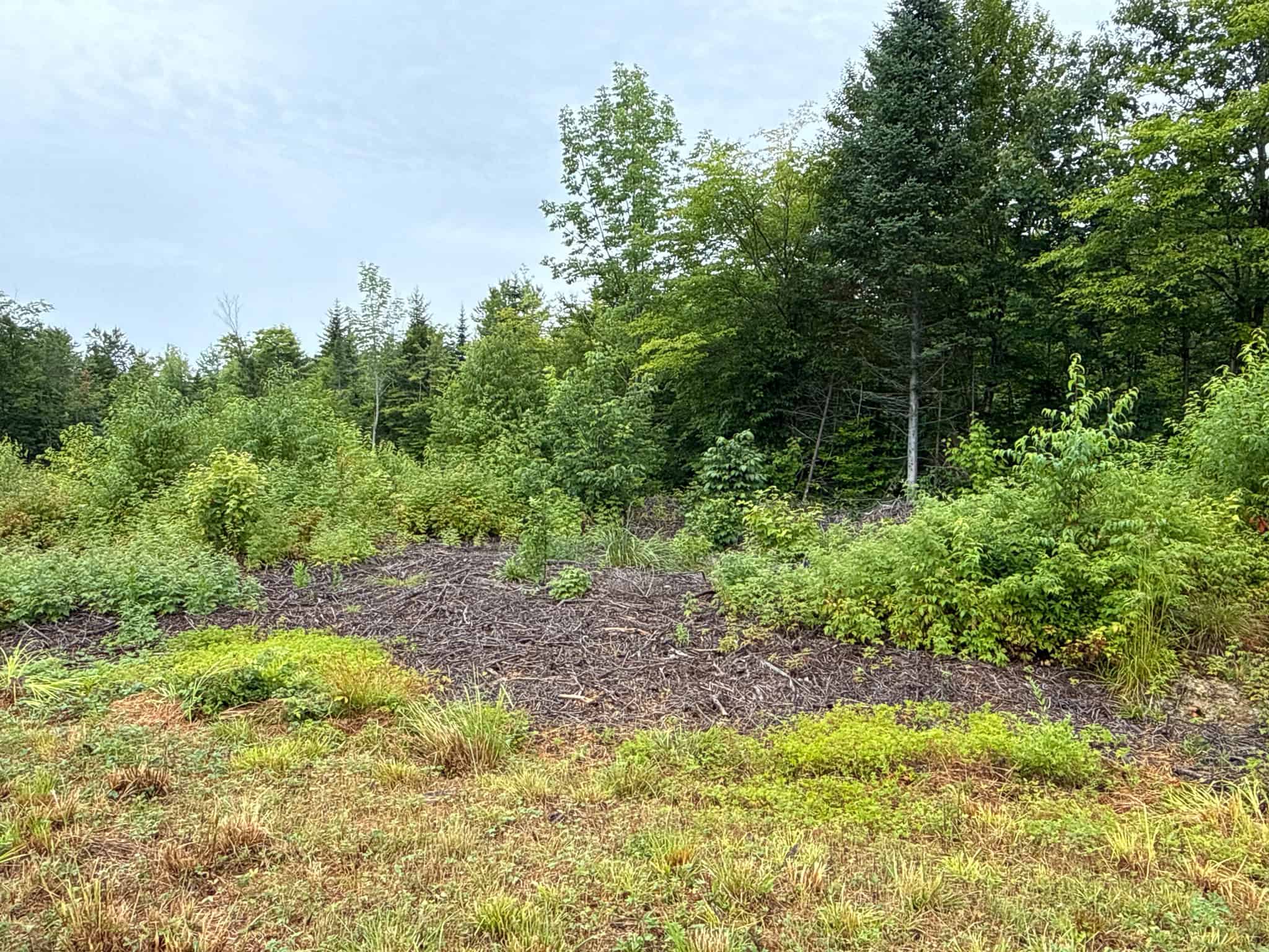 109.54 Acres of Maine Land with Brook Frontage