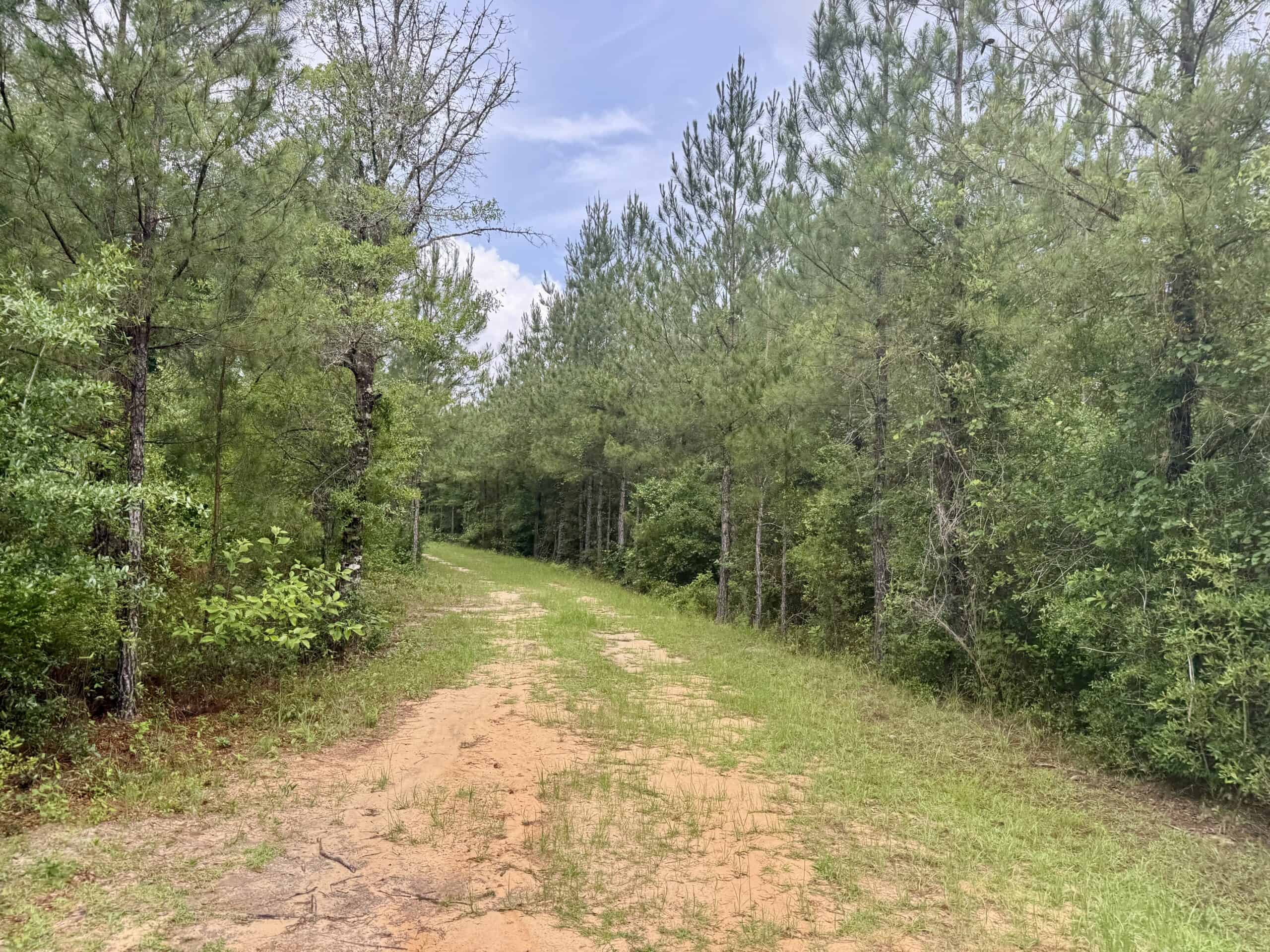 130 Acres on the Chipola River | Hunting, Fishing & Recreation