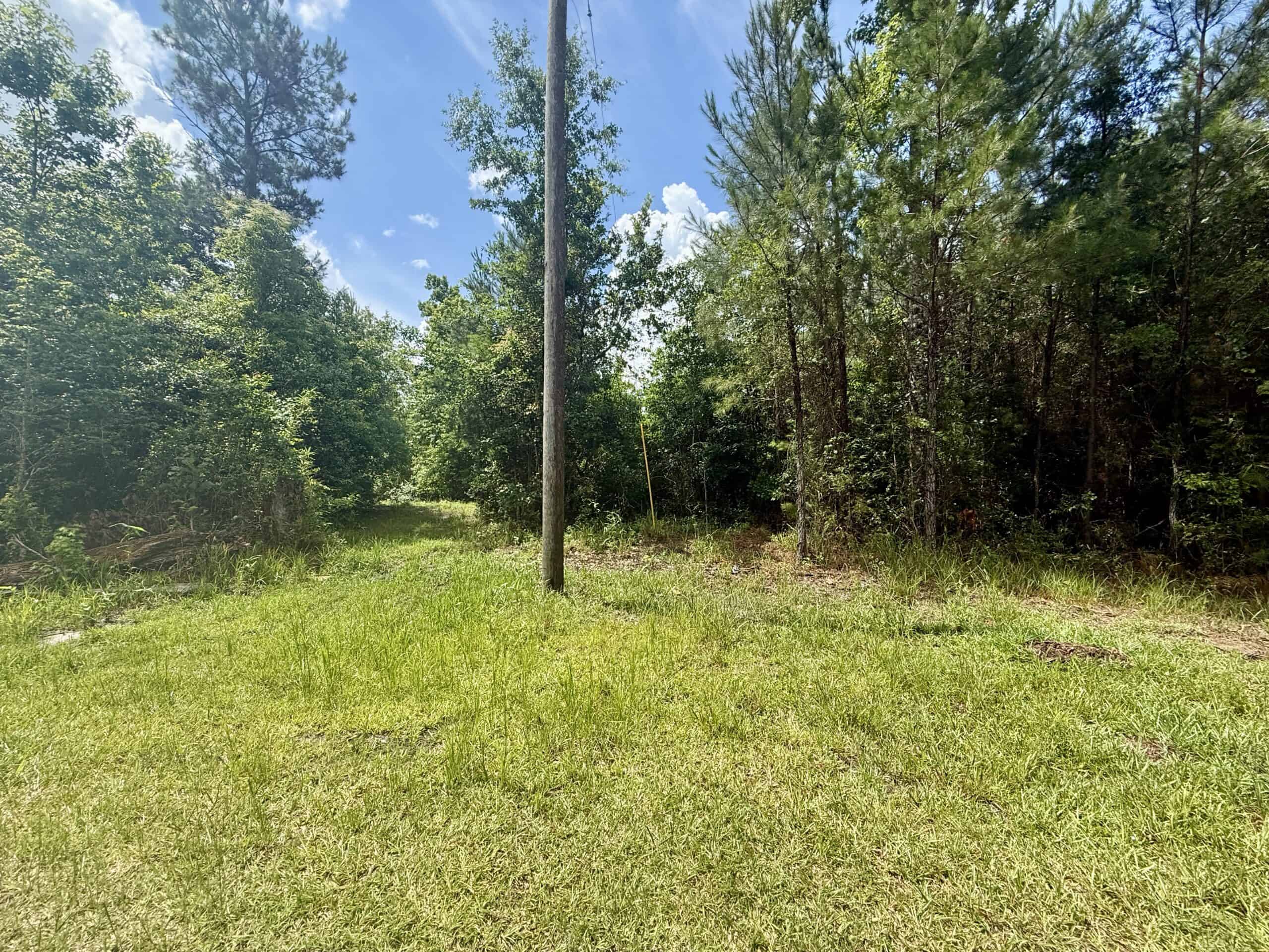 130 Acres on the Chipola River | Hunting, Fishing & Recreation