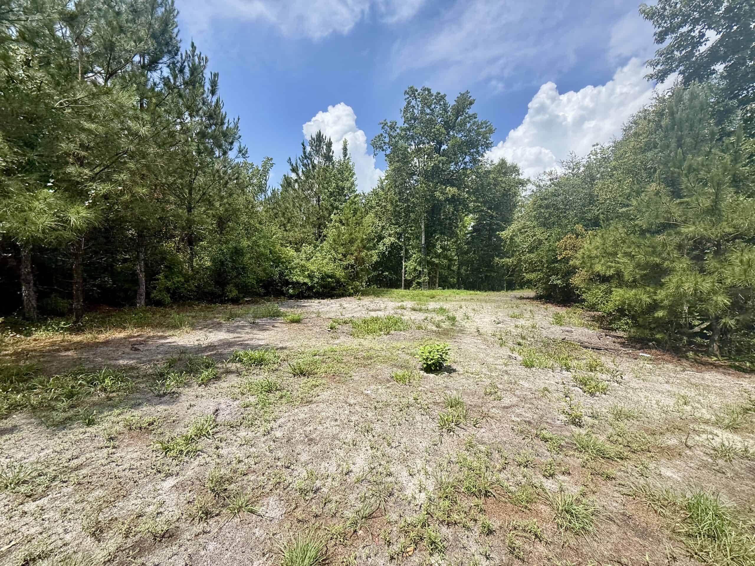 130 Acres on the Chipola River | Hunting, Fishing & Recreation