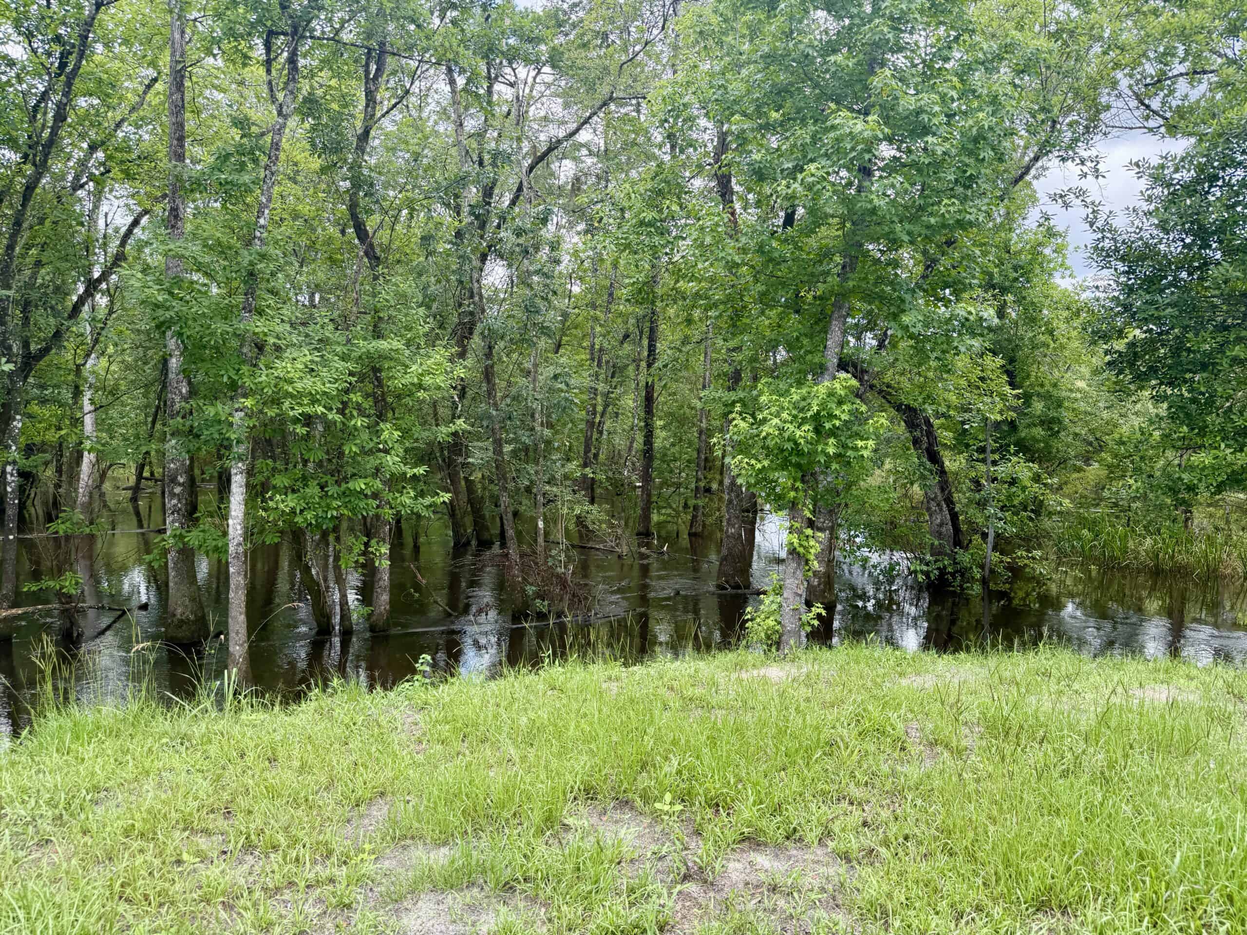 130 Acres on the Chipola River | Hunting, Fishing & Recreation