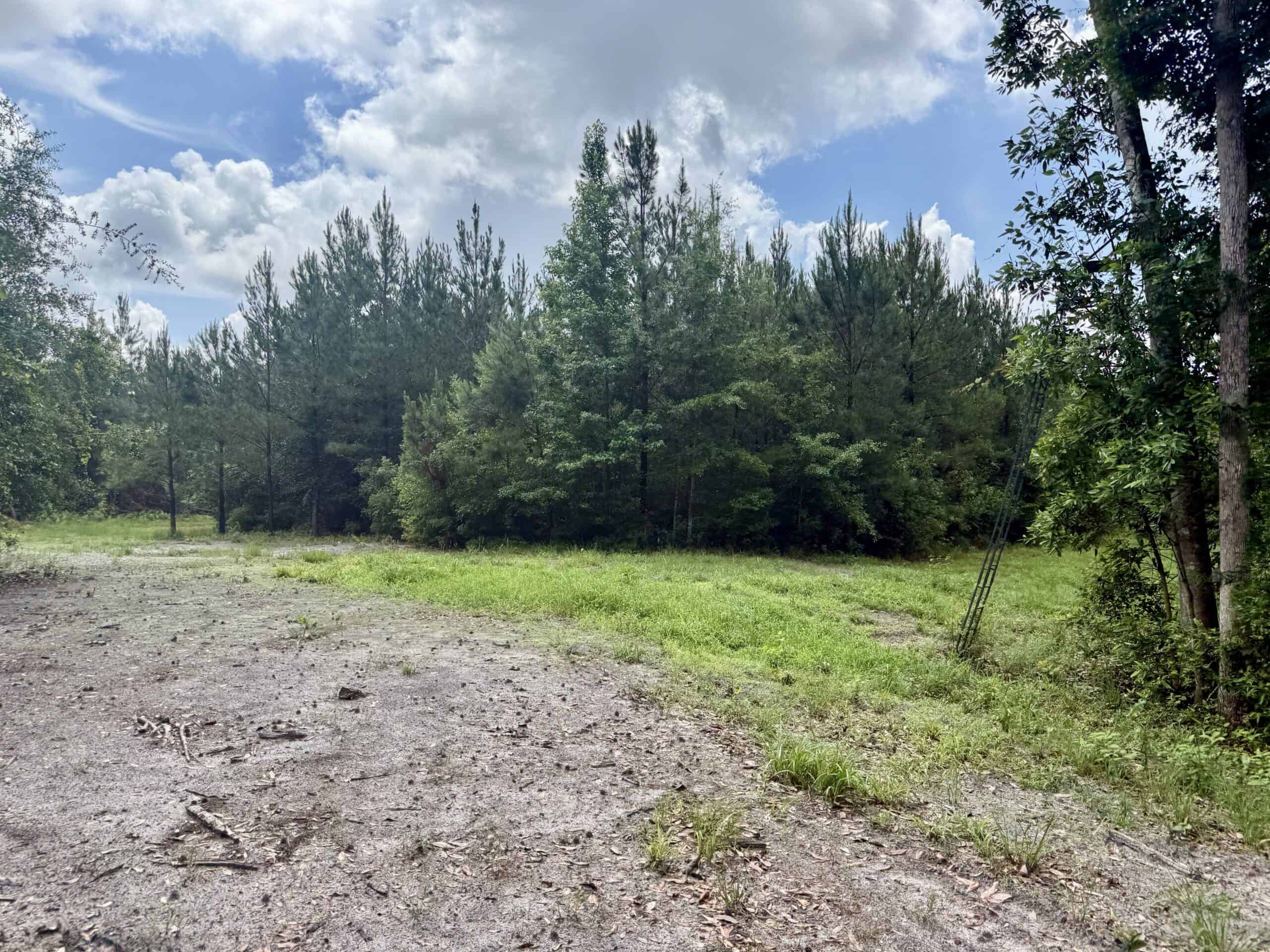 130 Acres on the Chipola River | Hunting, Fishing & Recreation