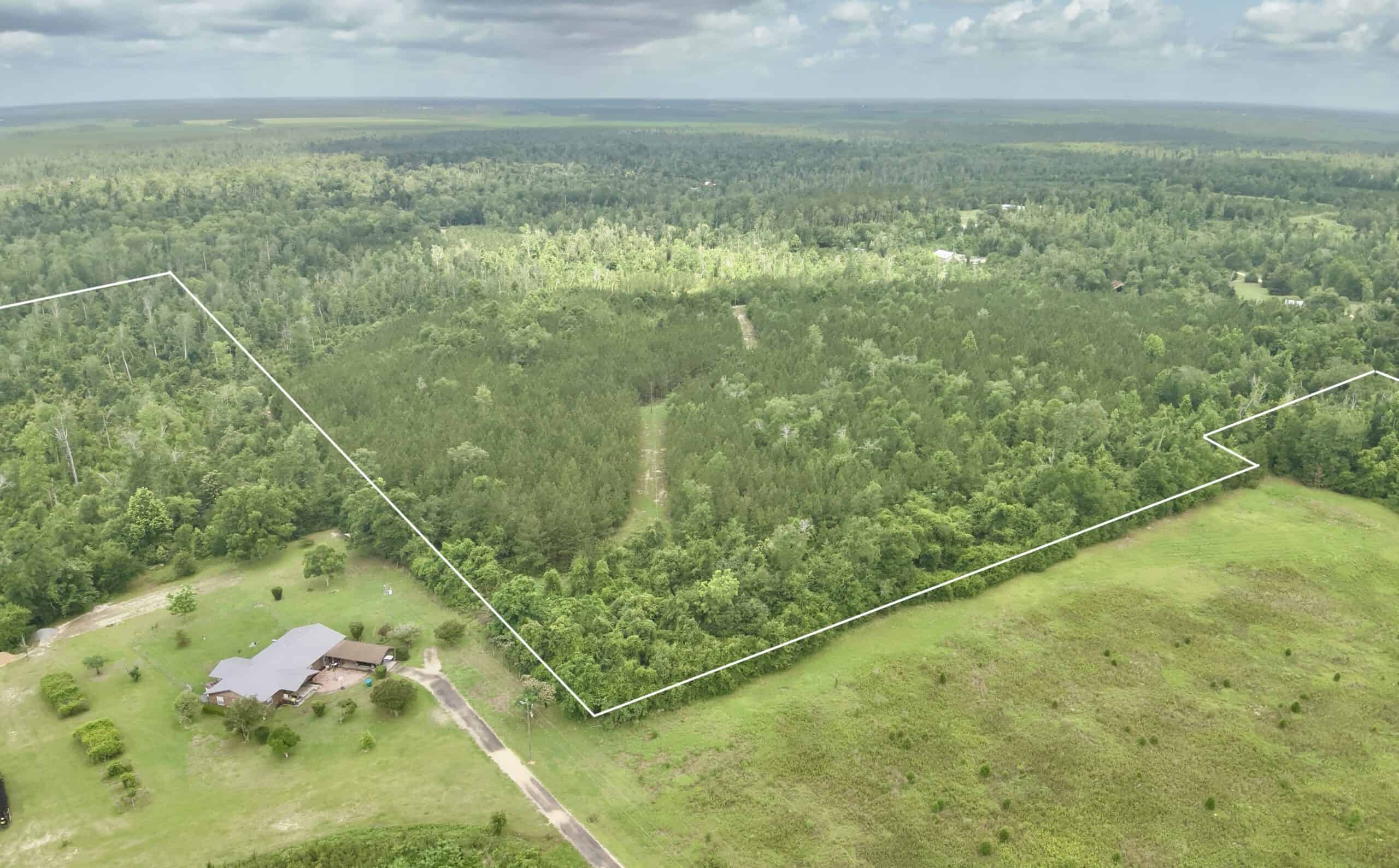 130 Acres on the Chipola River | Hunting, Fishing & Recreation
