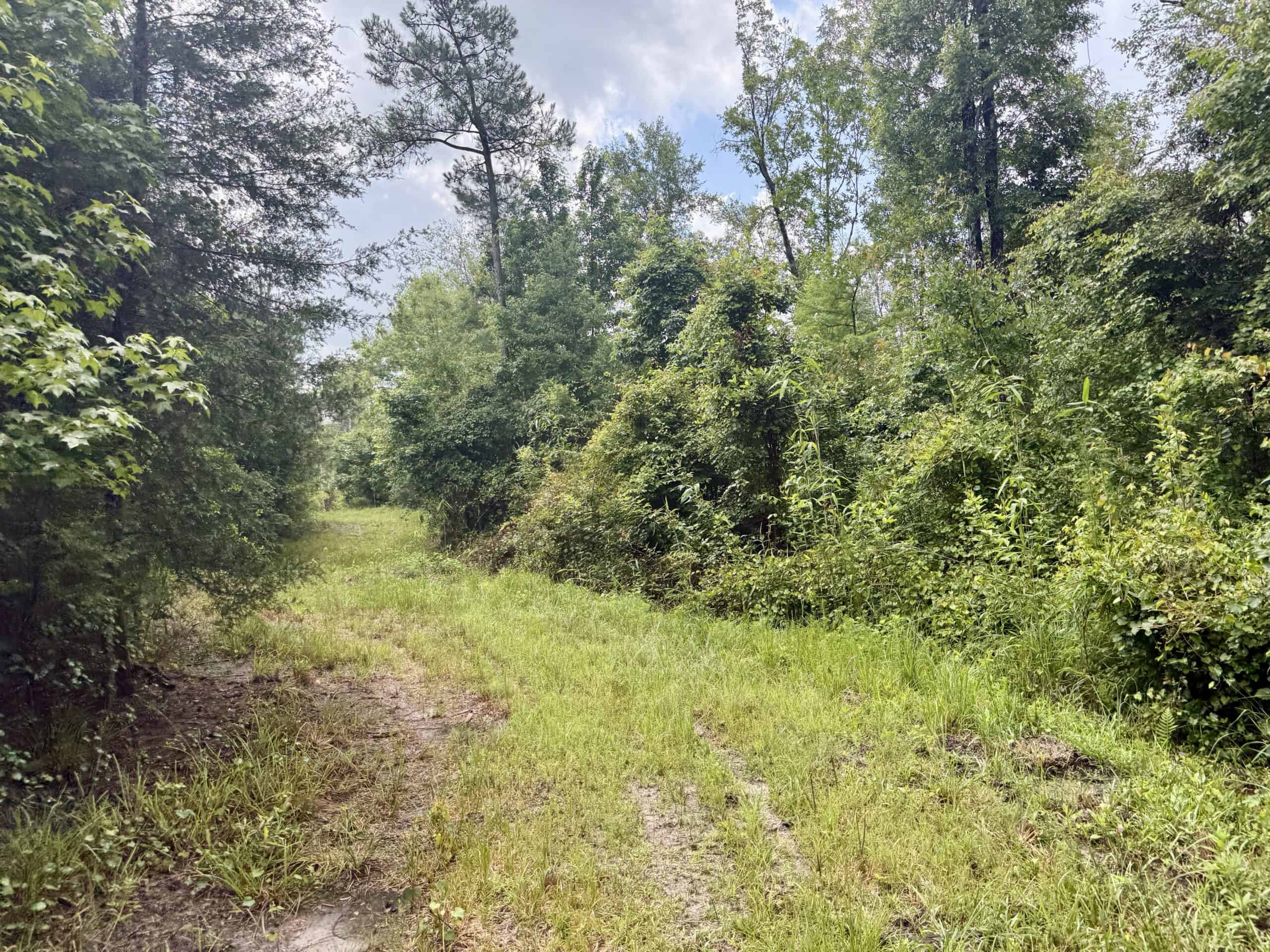130 Acres on the Chipola River | Hunting, Fishing & Recreation