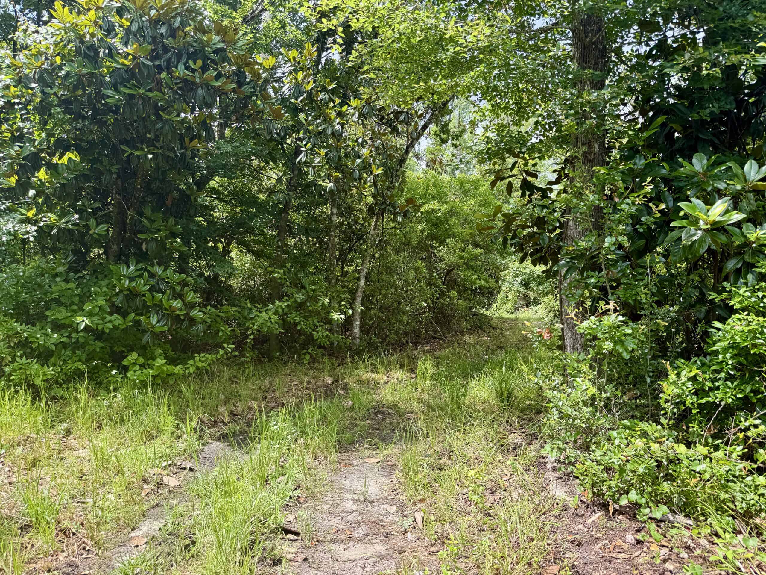130 Acres on the Chipola River | Hunting, Fishing & Recreation