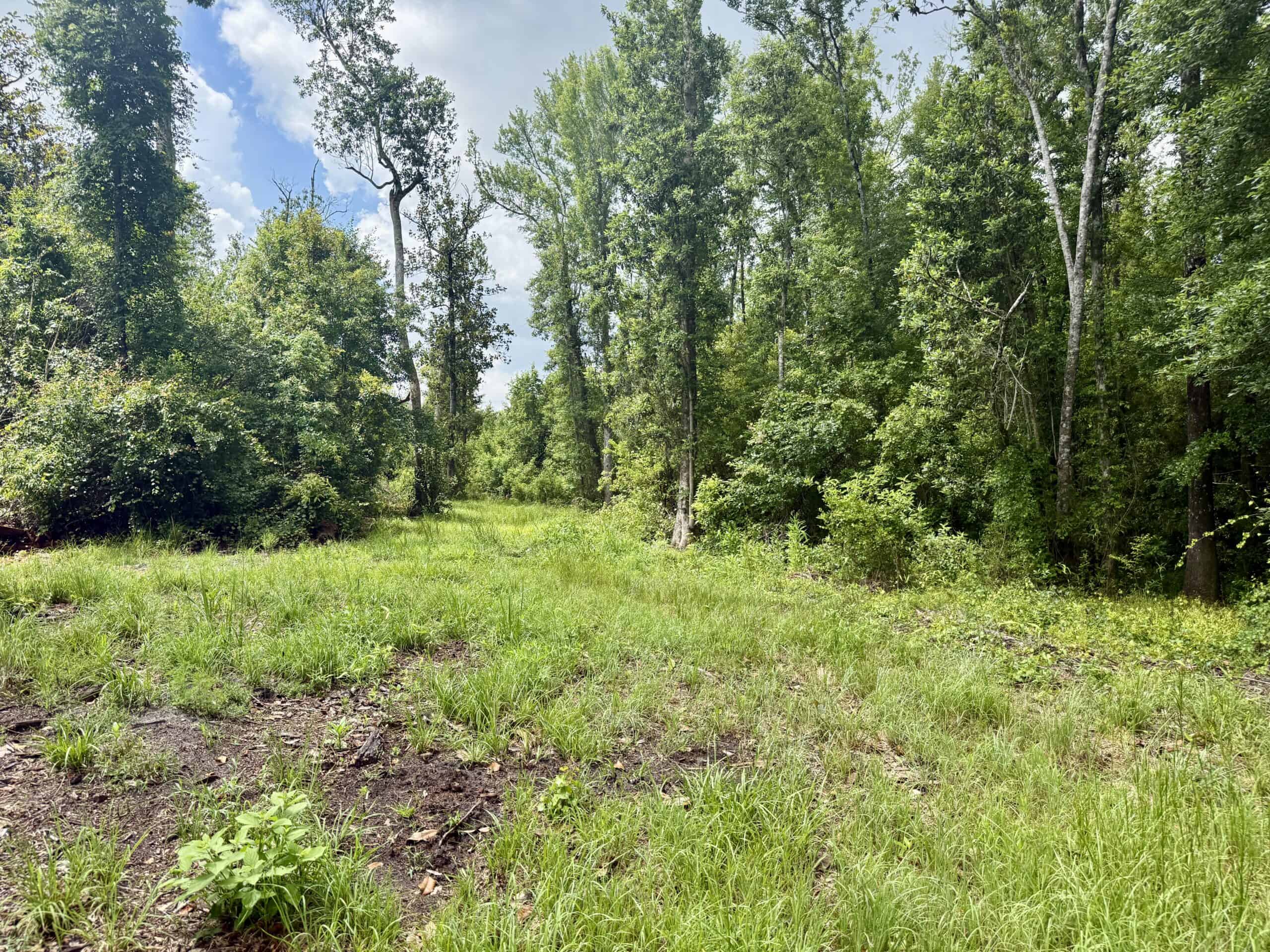 130 Acres on the Chipola River | Hunting, Fishing & Recreation