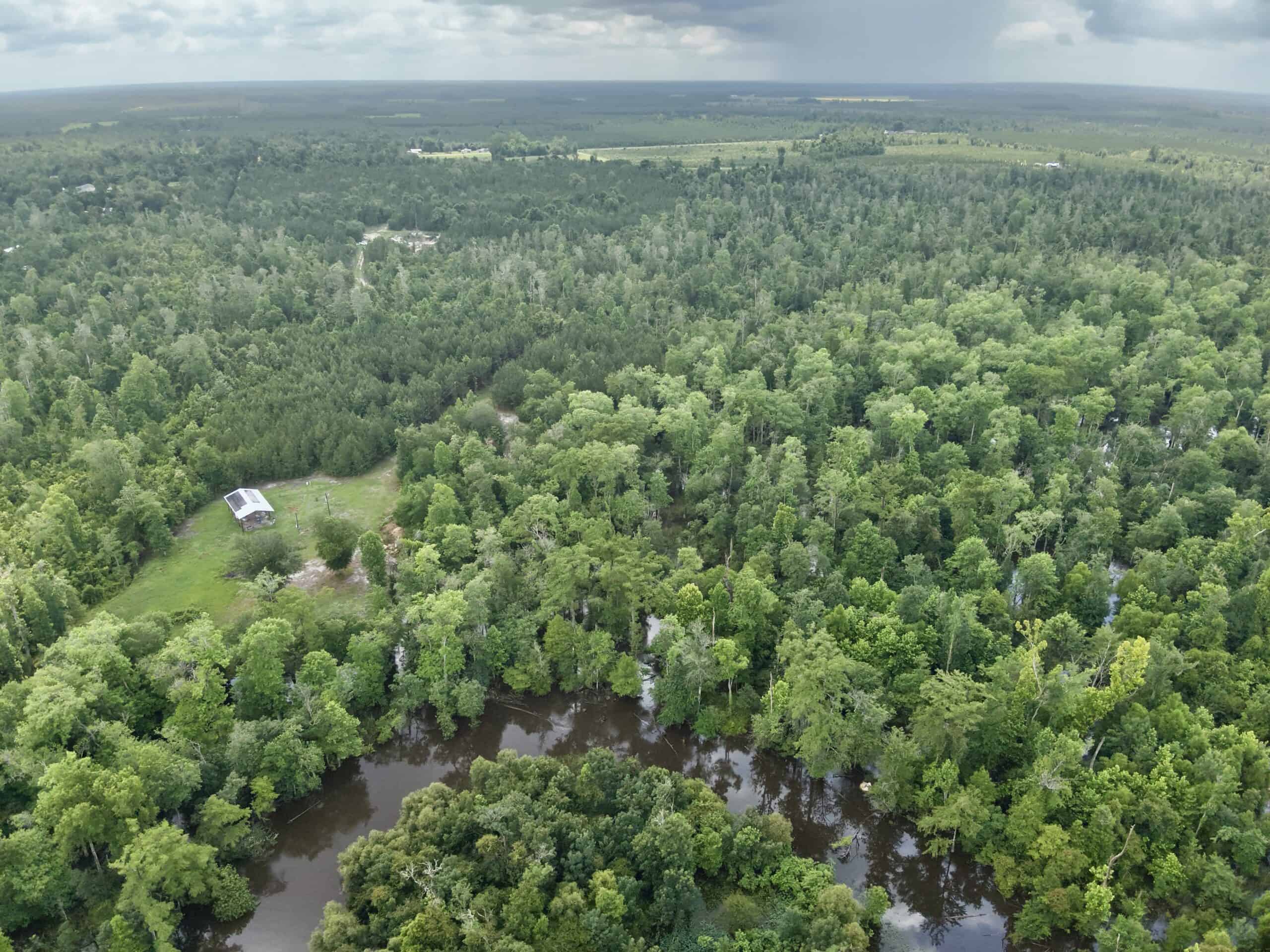 130 Acres on the Chipola River | Hunting, Fishing & Recreation