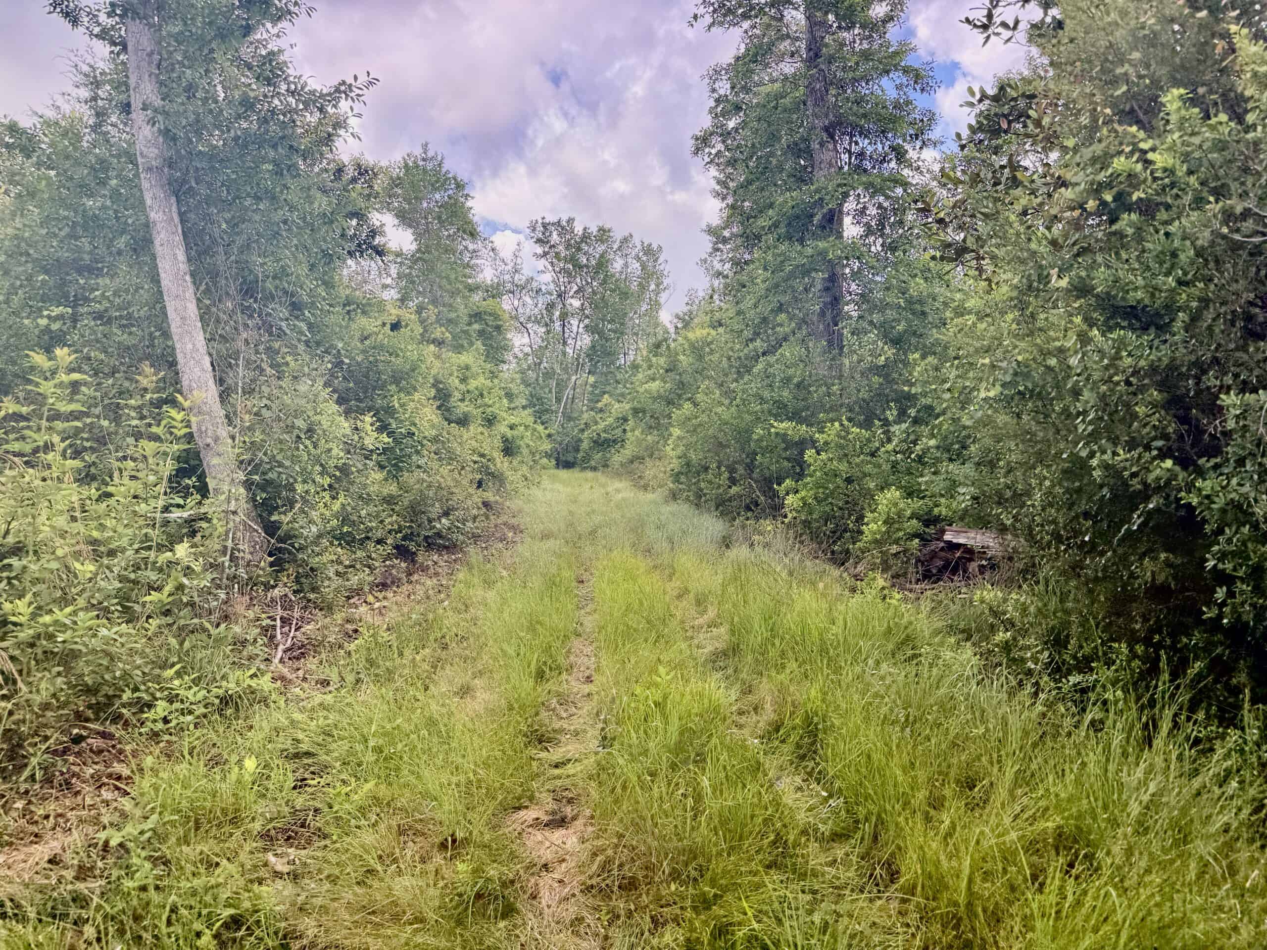 130 Acres on the Chipola River | Hunting, Fishing & Recreation