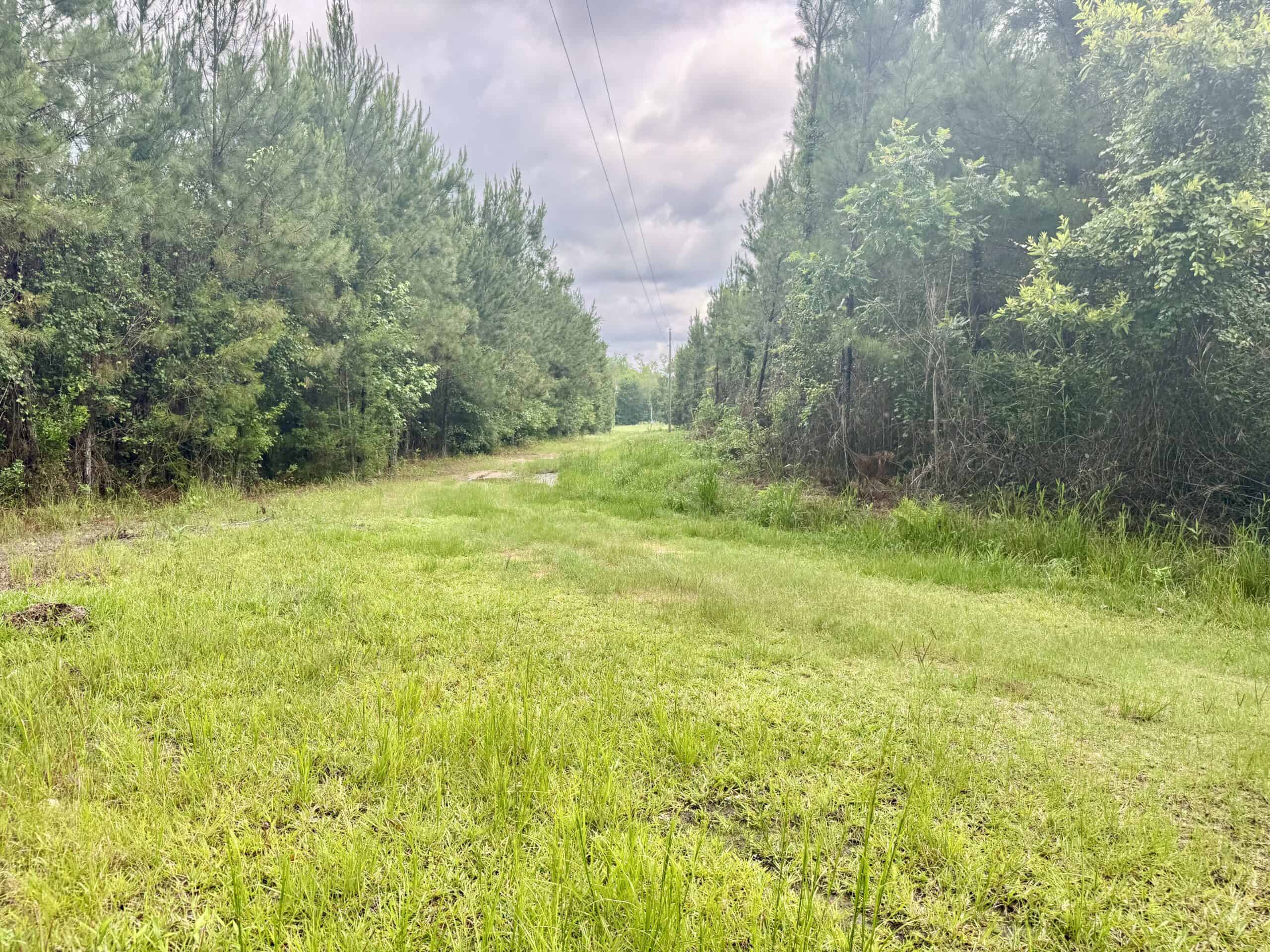 130 Acres on the Chipola River | Hunting, Fishing & Recreation