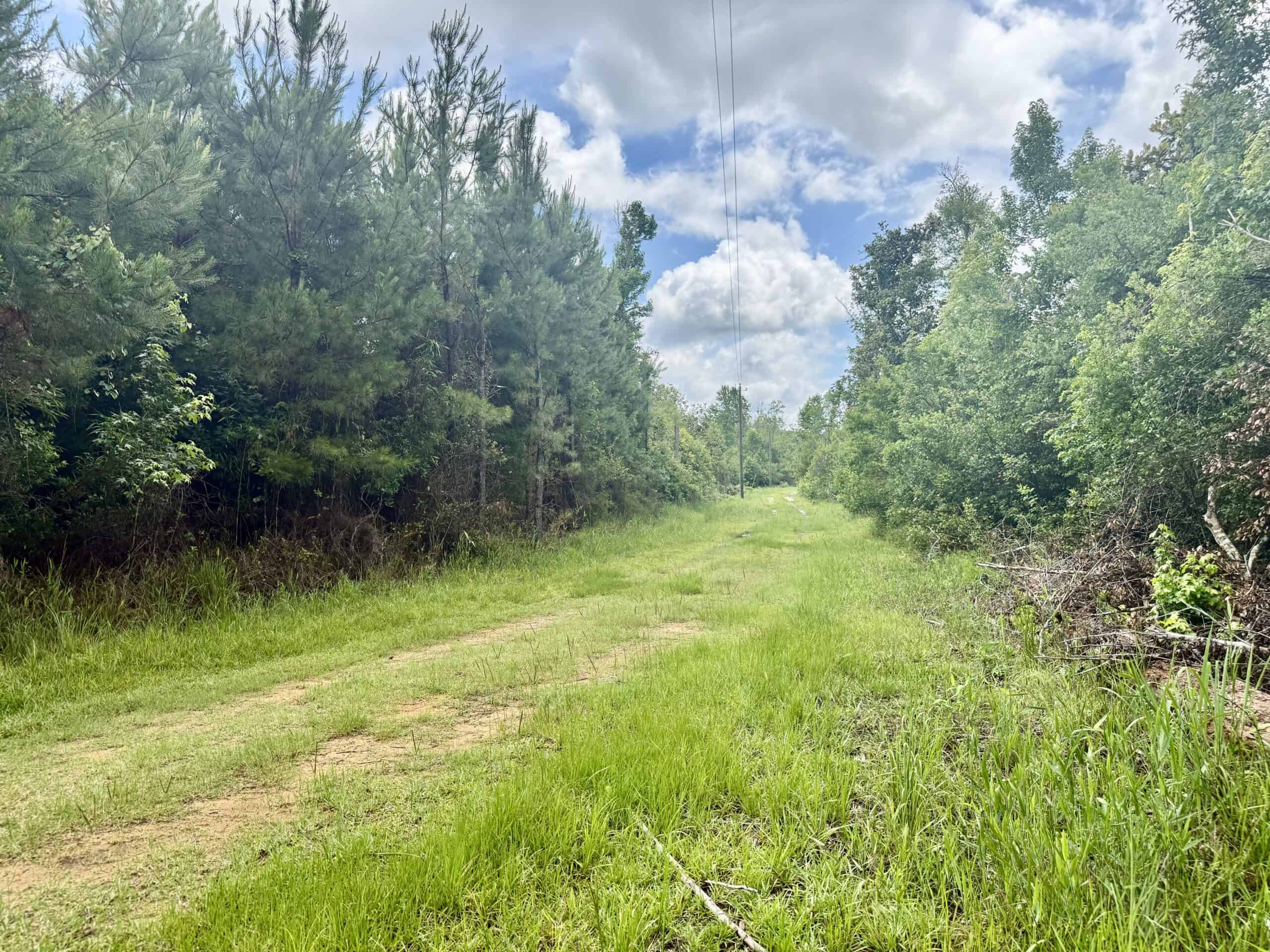 130 Acres on the Chipola River | Hunting, Fishing & Recreation