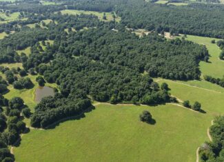 LIVESTOCK FARM AND HUNTING PROPERTY FOR SALE IN ARKANSAS