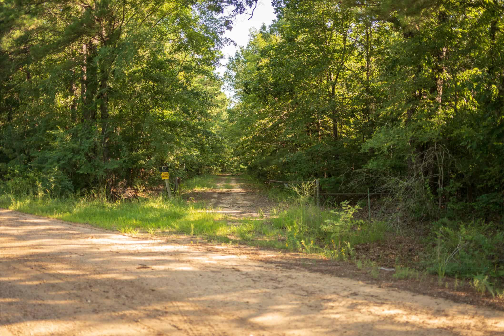 Jelks Bayou 360 – Timber and Hunting Investment Morehouse Parish
