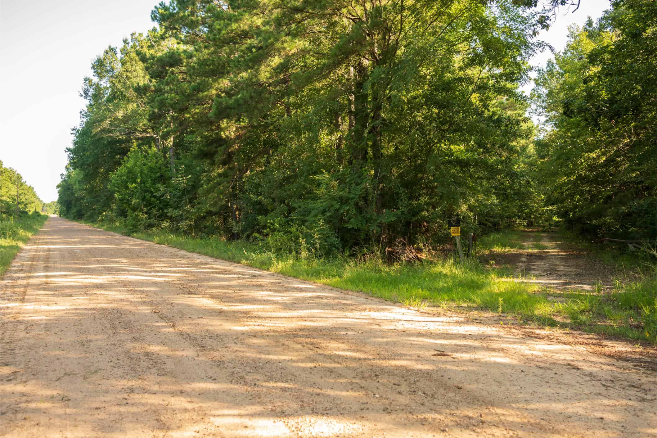 Jelks Bayou 360 – Timber and Hunting Investment Morehouse Parish