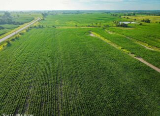Exceptional ±38-acre farm in Clarke County near Woodburn, Iowa