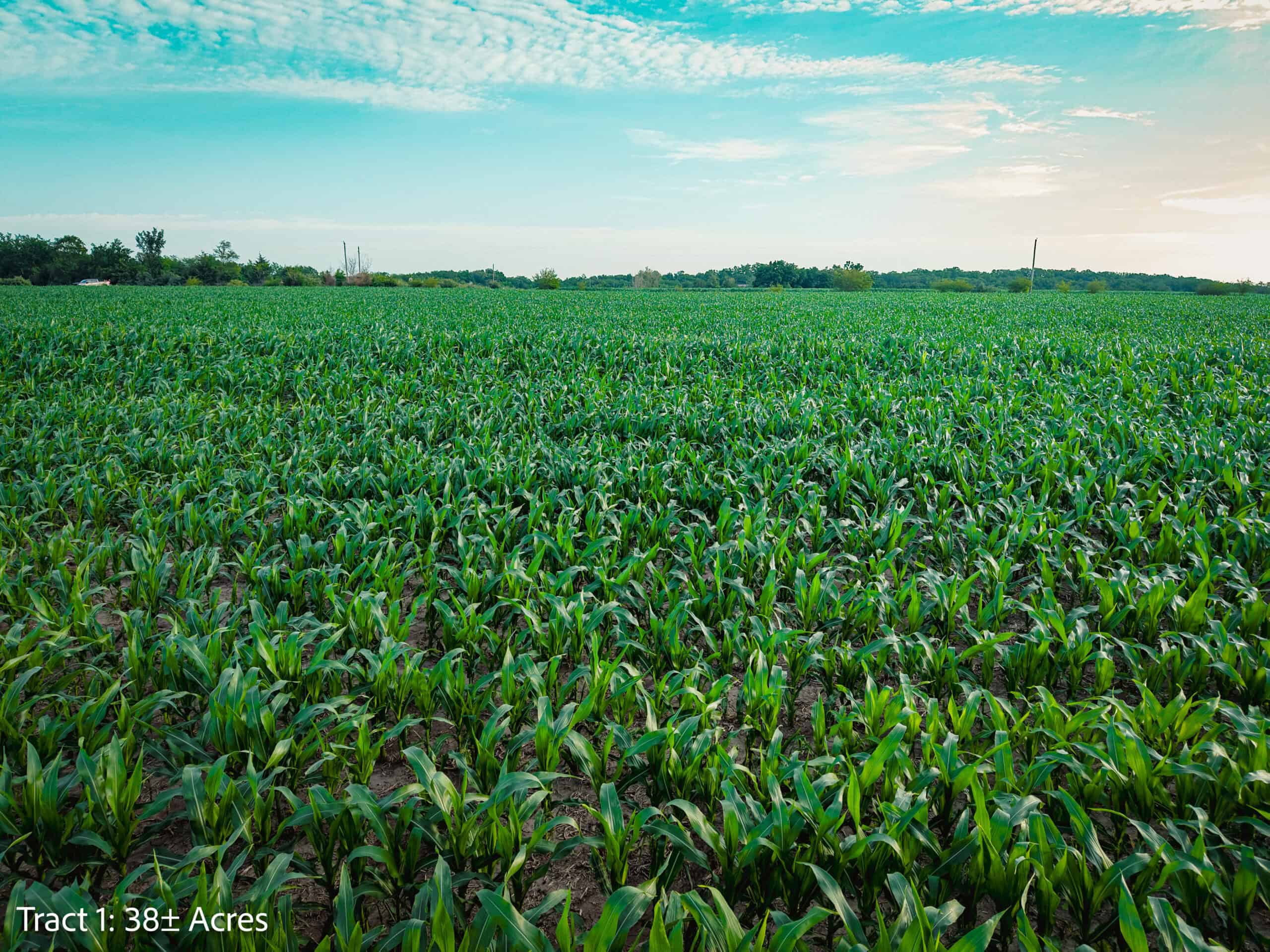 Exceptional ±38-acre farm in Clarke County near Woodburn, Iowa