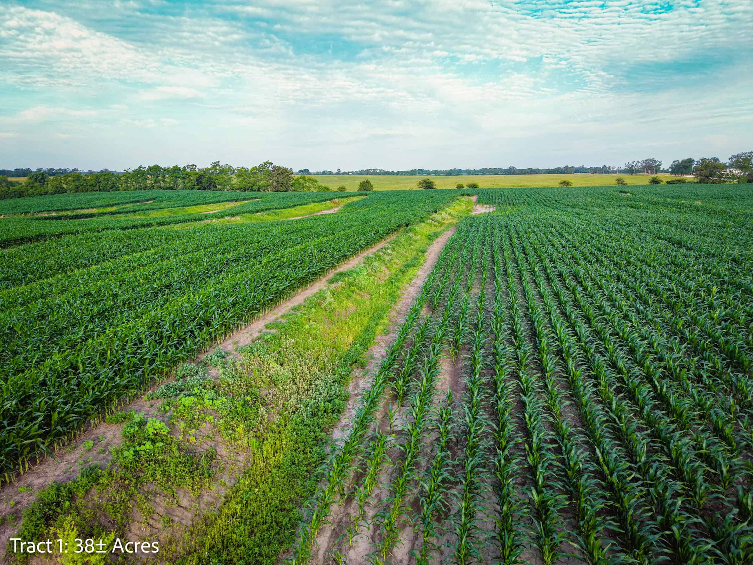 Exceptional ±38-acre farm in Clarke County near Woodburn, Iowa