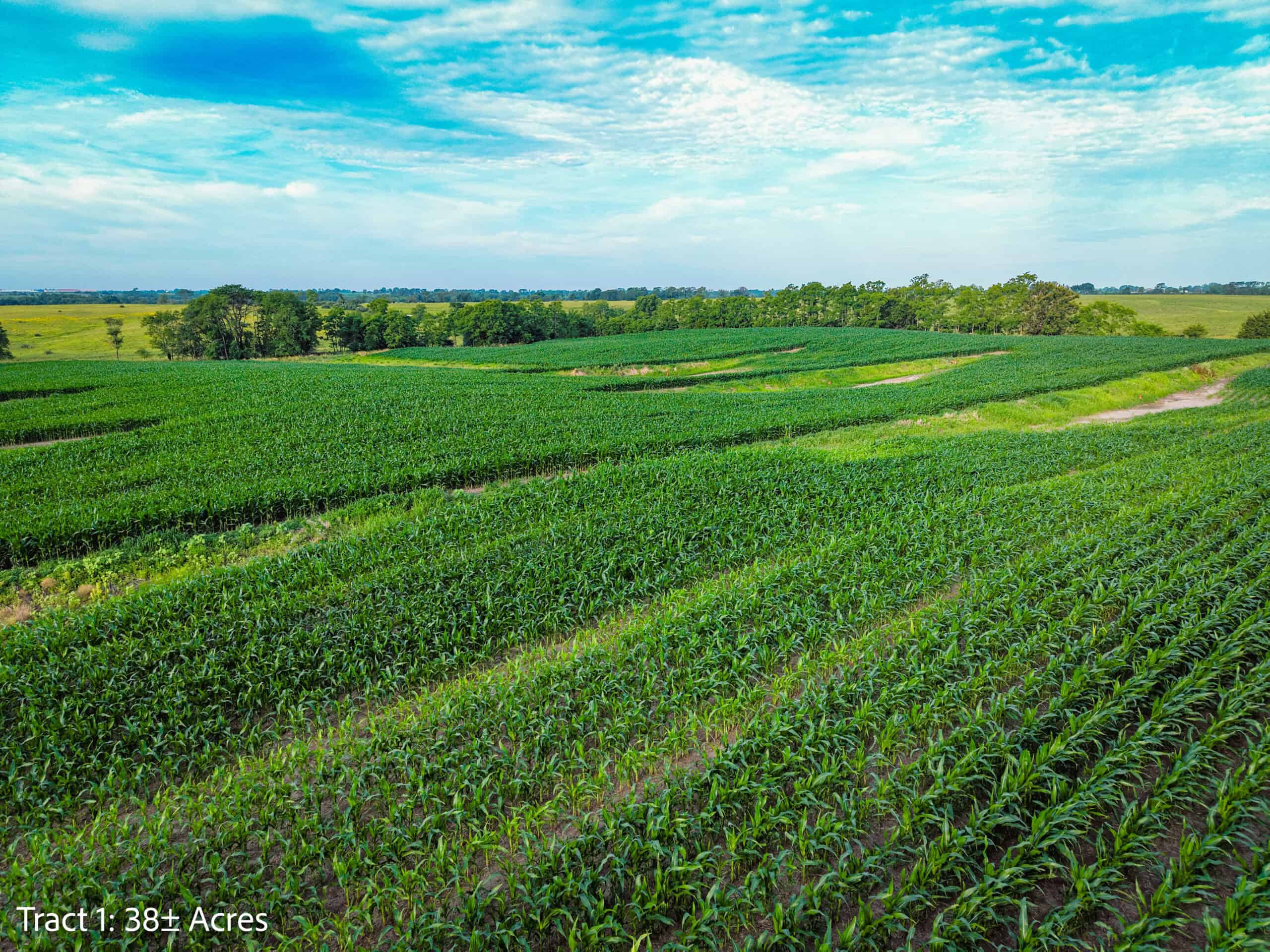 Exceptional ±38-acre farm in Clarke County near Woodburn, Iowa