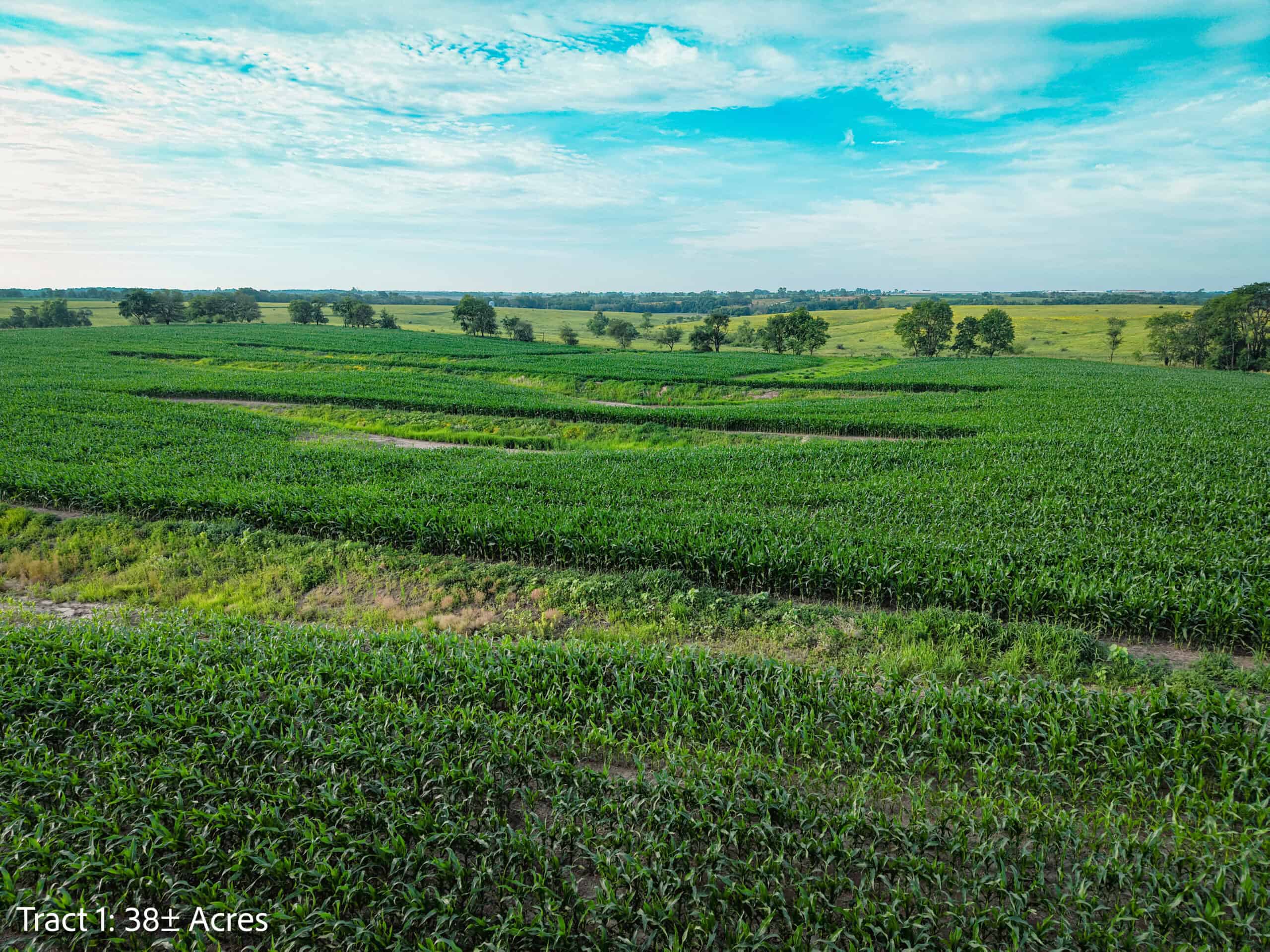 Exceptional ±38-acre farm in Clarke County near Woodburn, Iowa