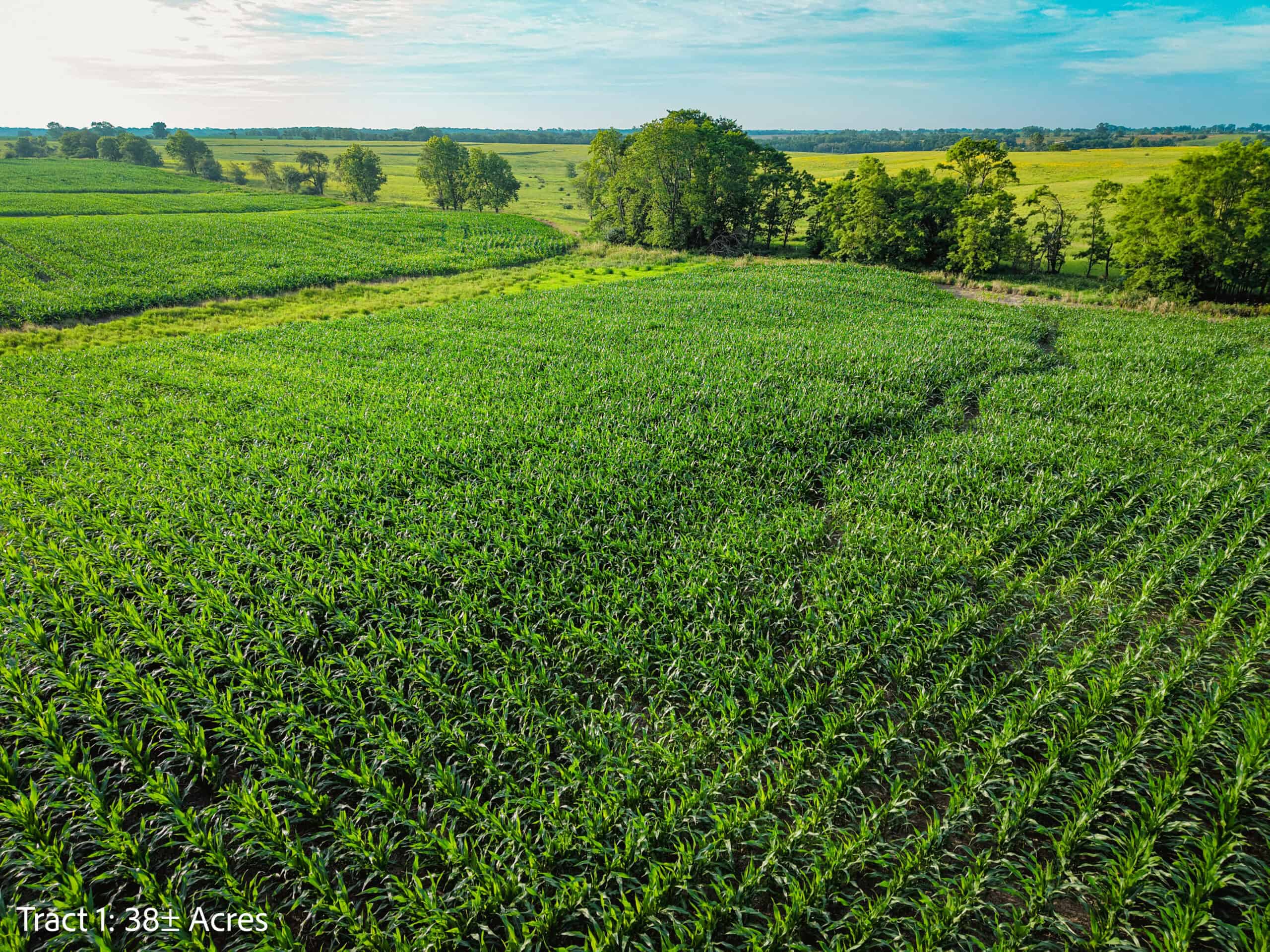 Exceptional ±38-acre farm in Clarke County near Woodburn, Iowa