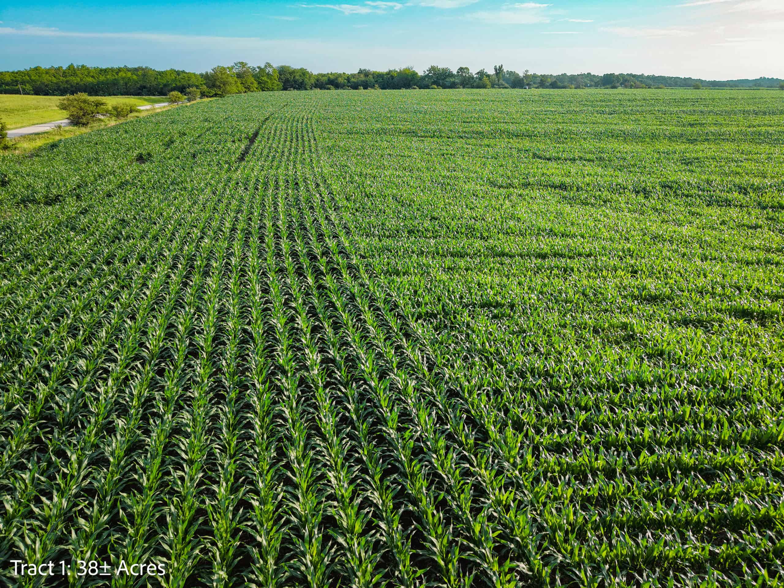 Exceptional ±38-acre farm in Clarke County near Woodburn, Iowa