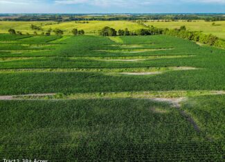 Exceptional ±38-acre farm in Clarke County near Woodburn, Iowa