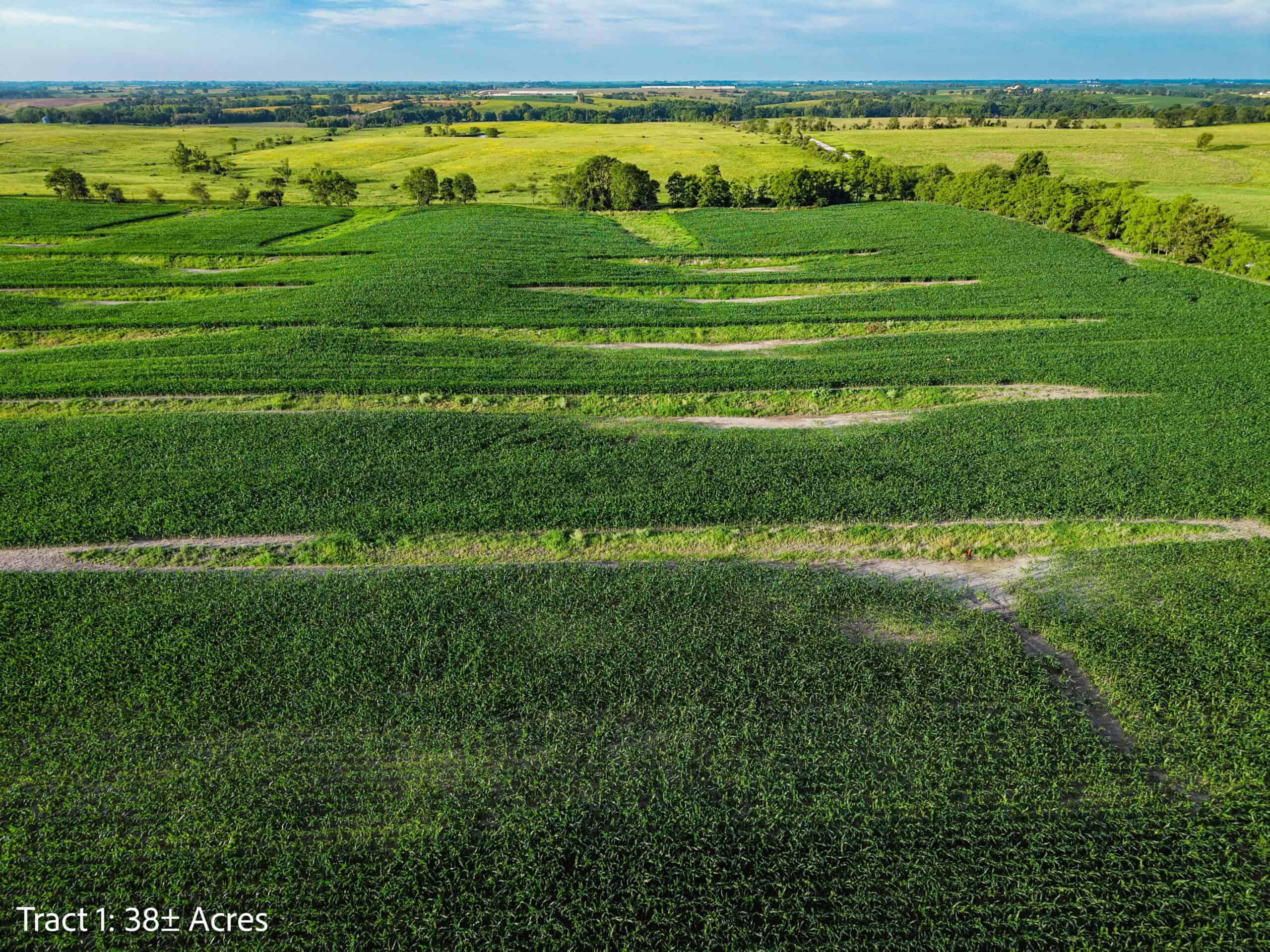 Exceptional ±38-acre farm in Clarke County near Woodburn, Iowa