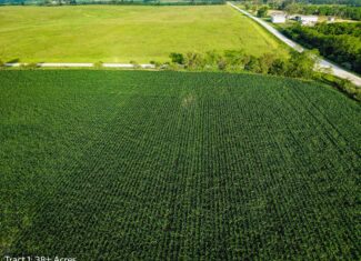 Exceptional ±38-acre farm in Clarke County near Woodburn, Iowa