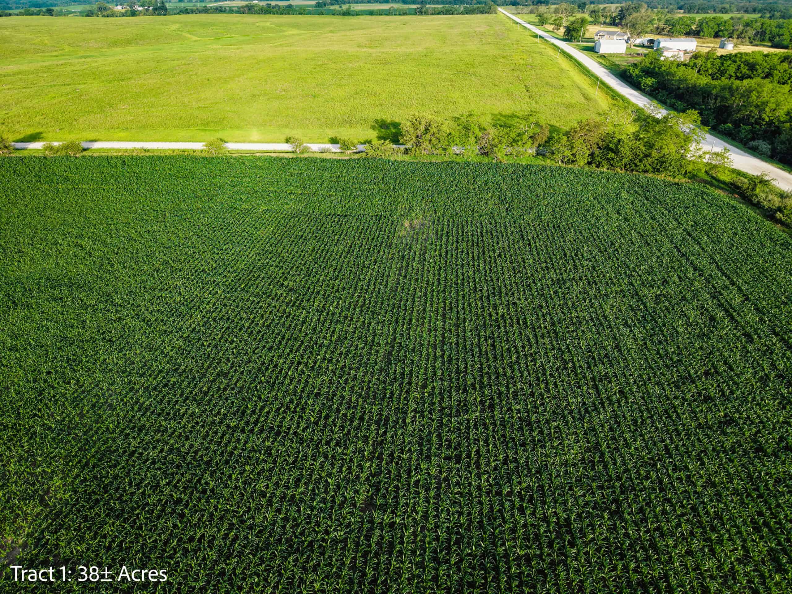 Exceptional ±38-acre farm in Clarke County near Woodburn, Iowa
