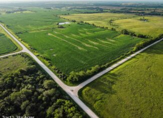 Exceptional ±38-acre farm in Clarke County near Woodburn, Iowa