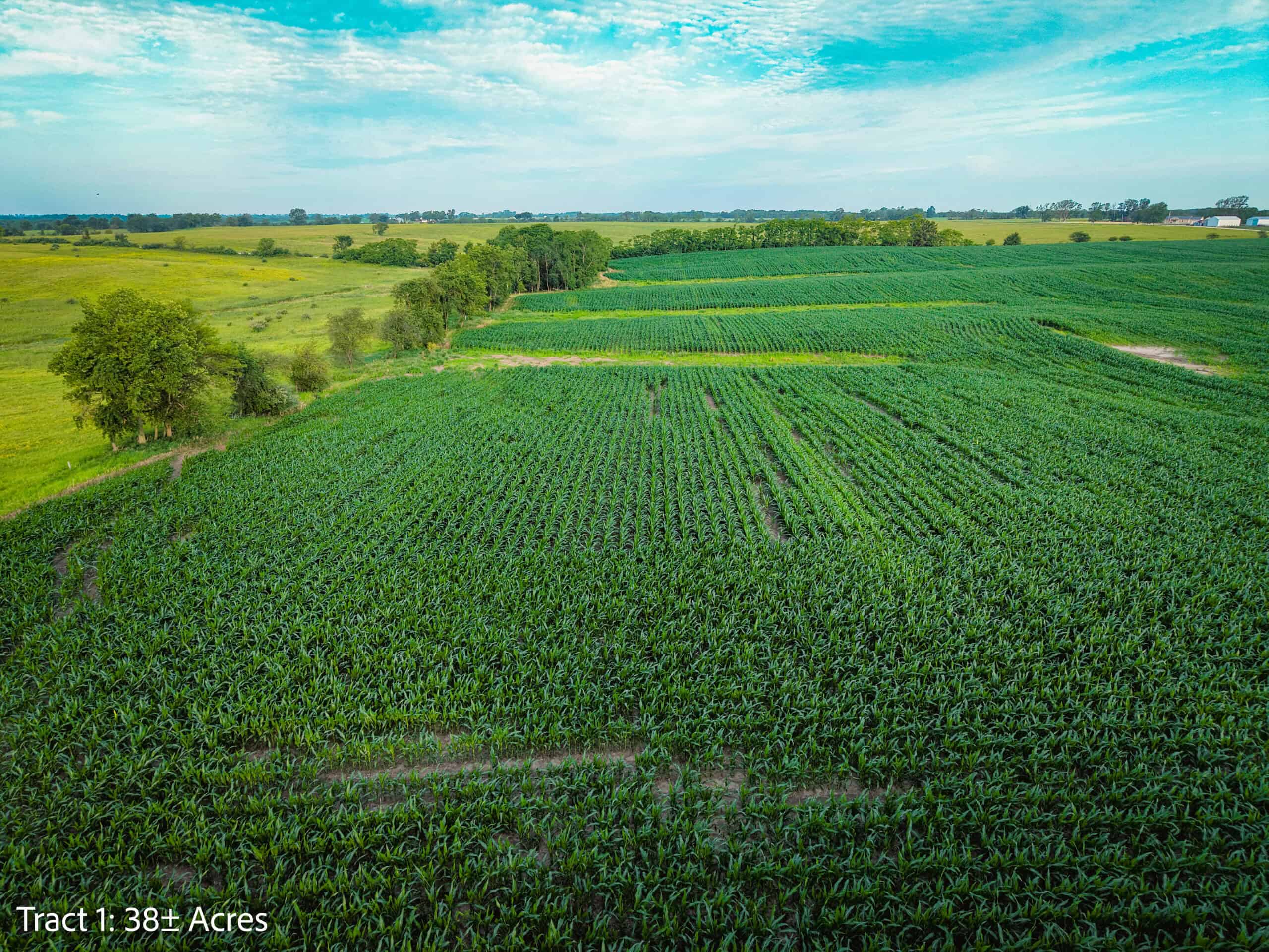Exceptional ±38-acre farm in Clarke County near Woodburn, Iowa