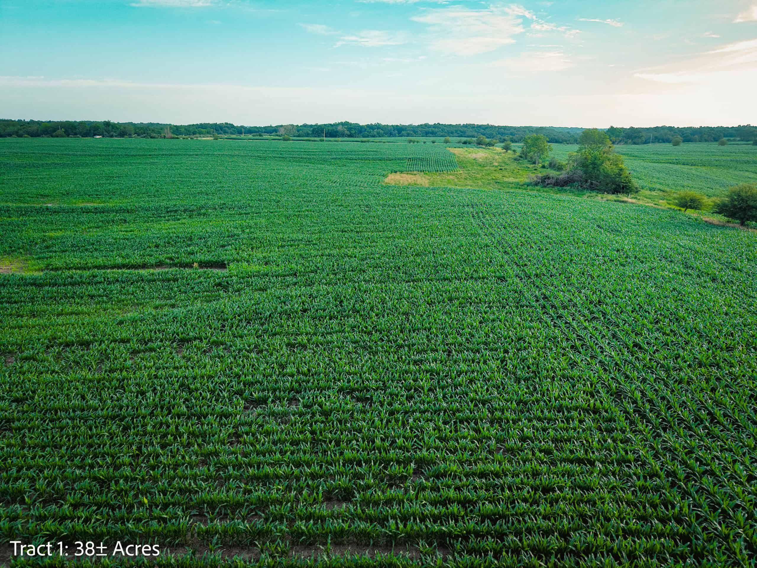 Exceptional ±38-acre farm in Clarke County near Woodburn, Iowa