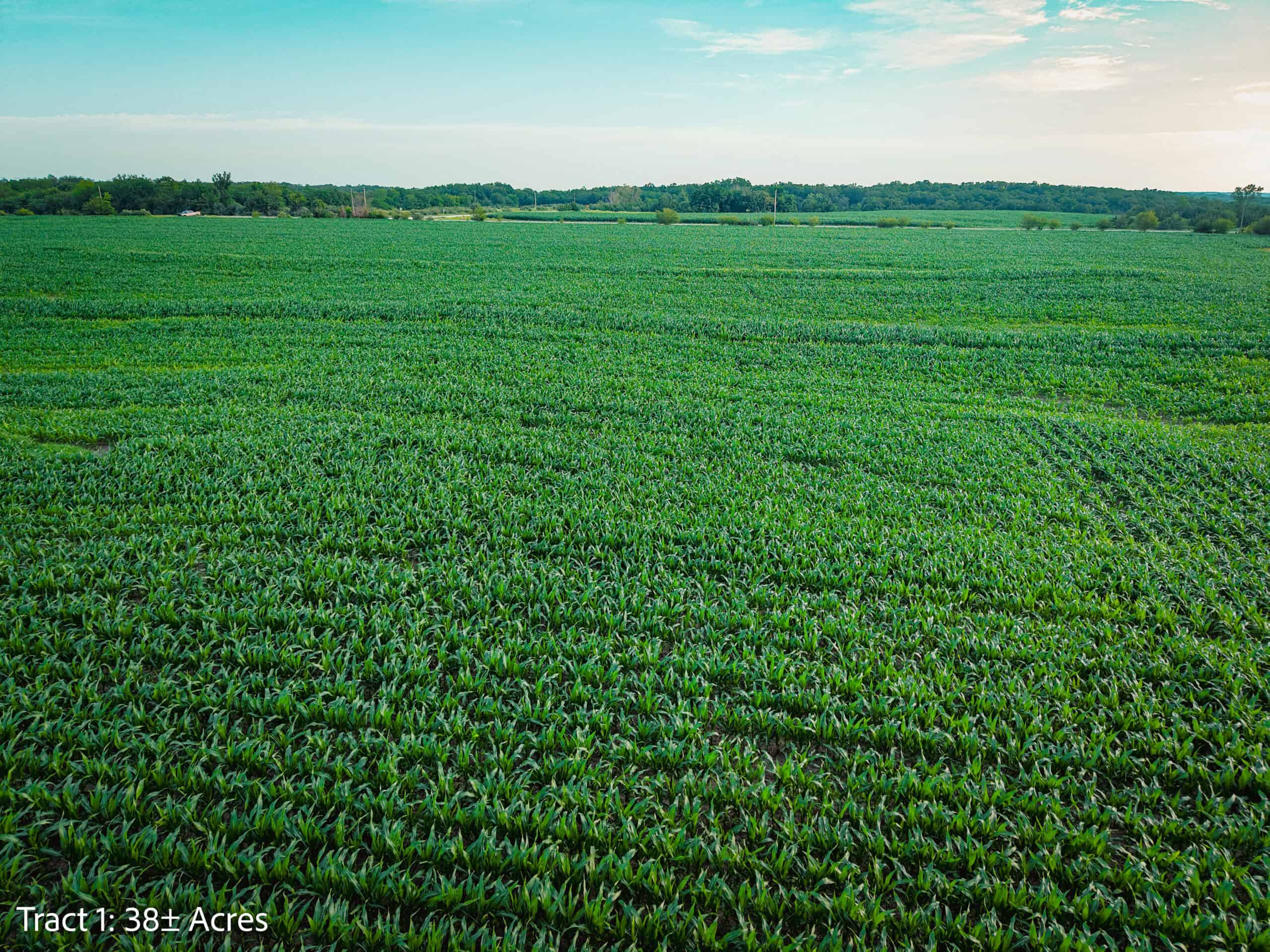 Exceptional ±38-acre farm in Clarke County near Woodburn, Iowa