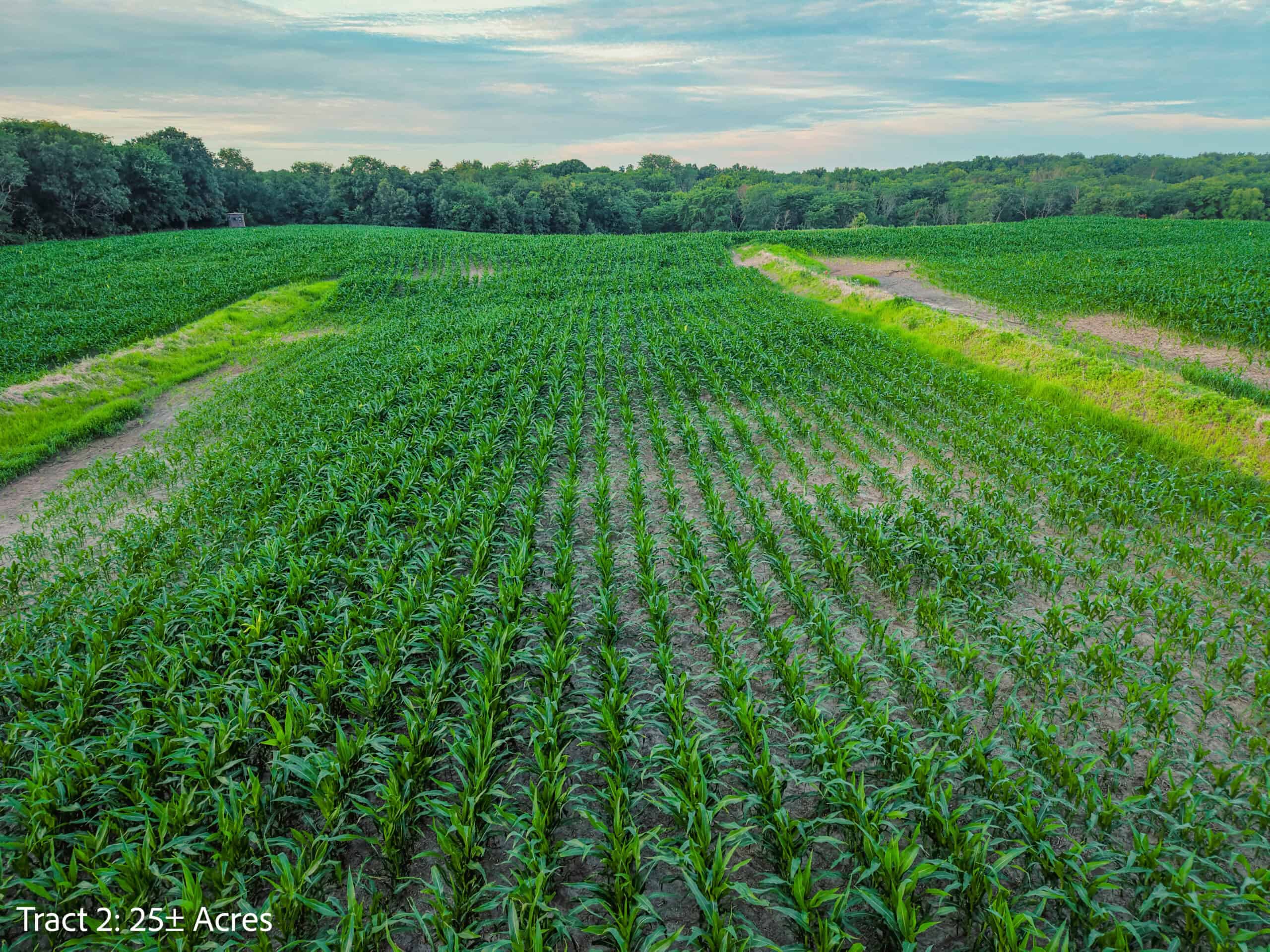 Exceptional ±25-acre Lucas County farm near Woodburn IA