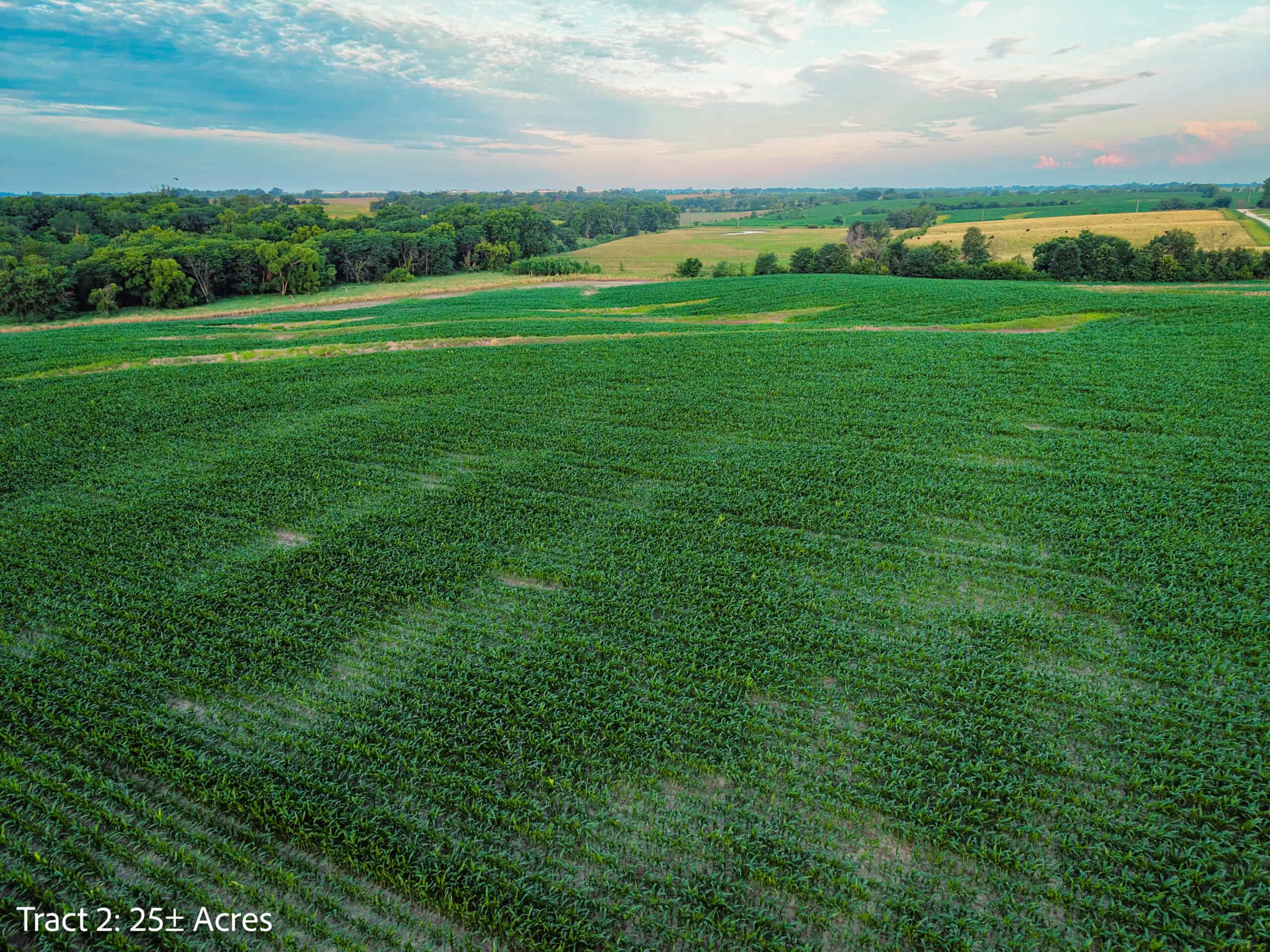 Exceptional ±25-acre Lucas County farm near Woodburn IA