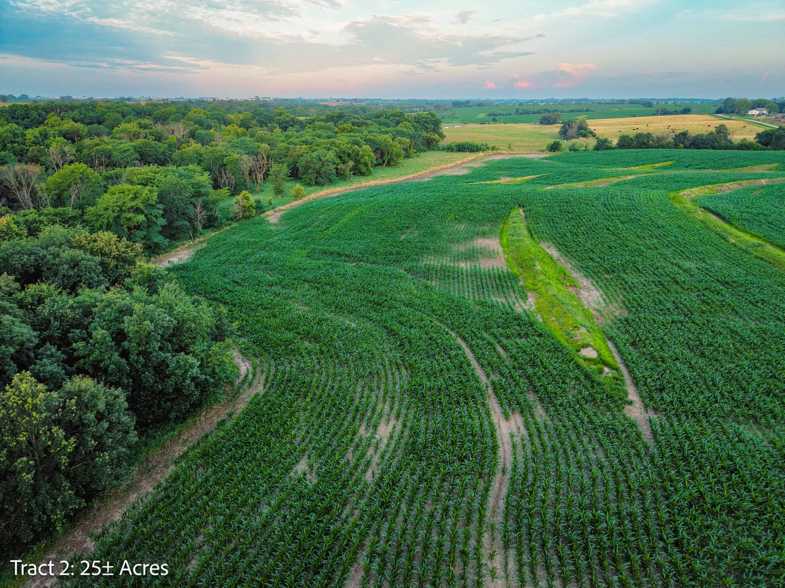 Exceptional ±25-acre Lucas County farm near Woodburn IA