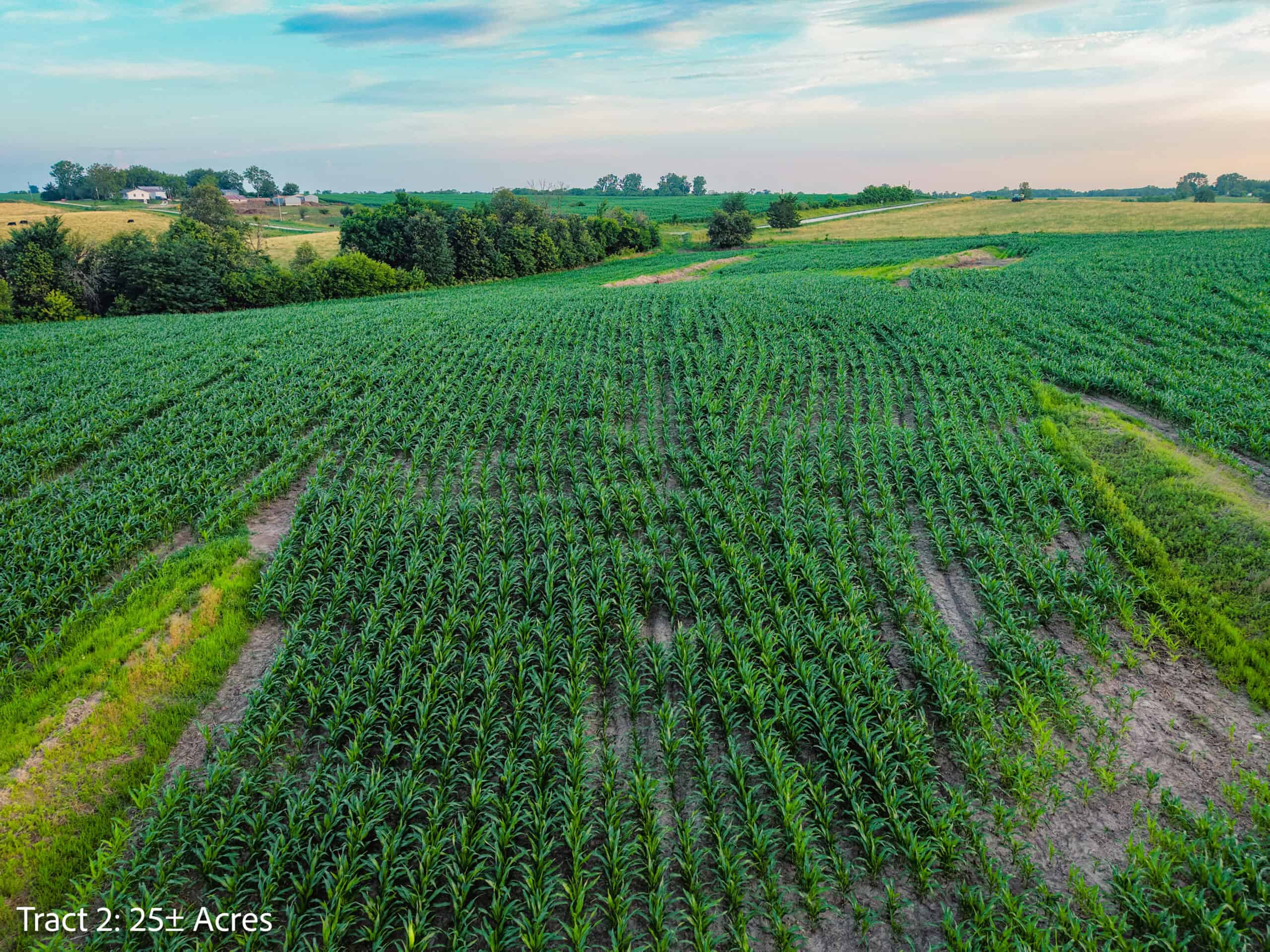Exceptional ±25-acre Lucas County farm near Woodburn IA