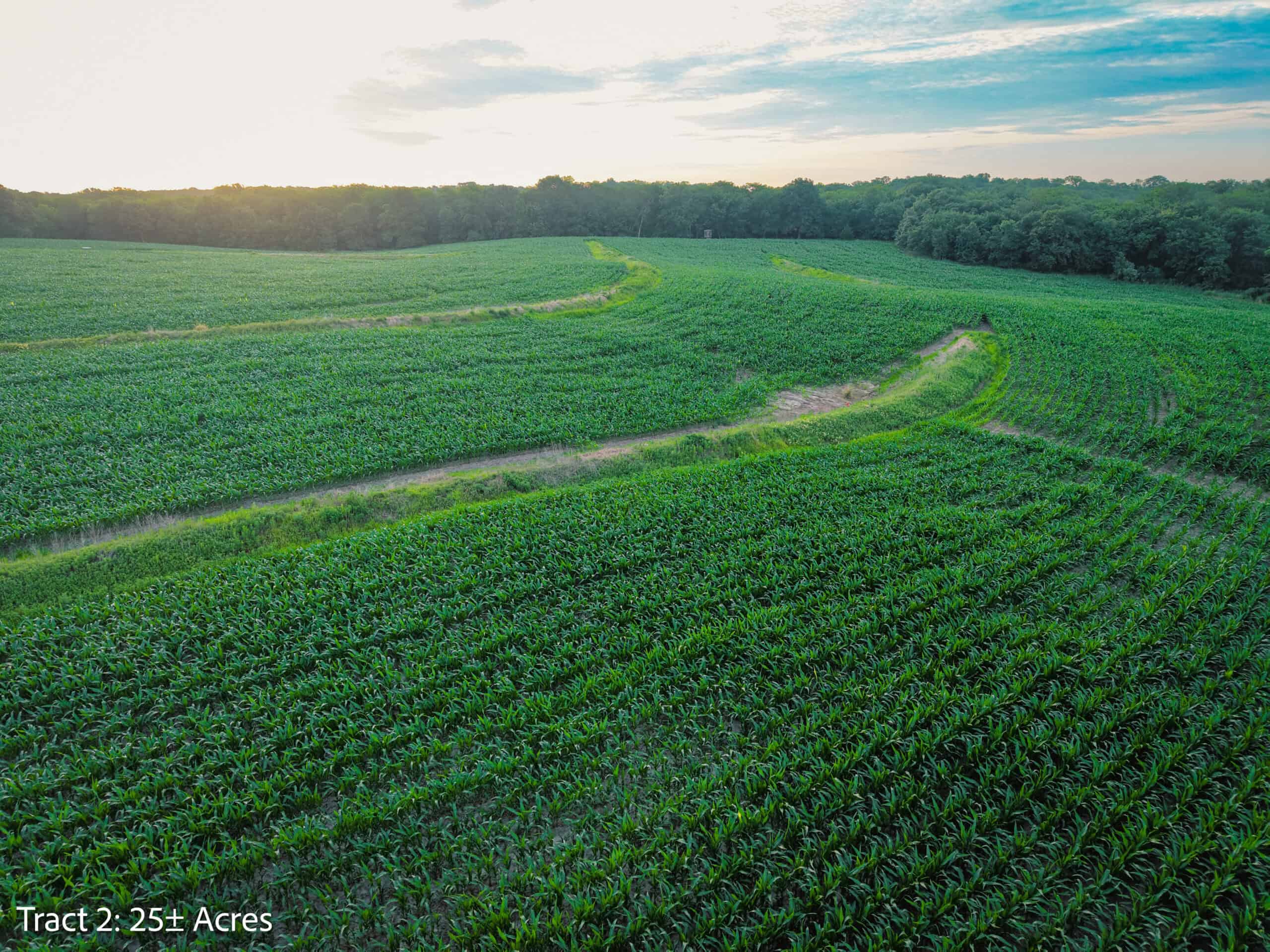 Exceptional ±25-acre Lucas County farm near Woodburn IA