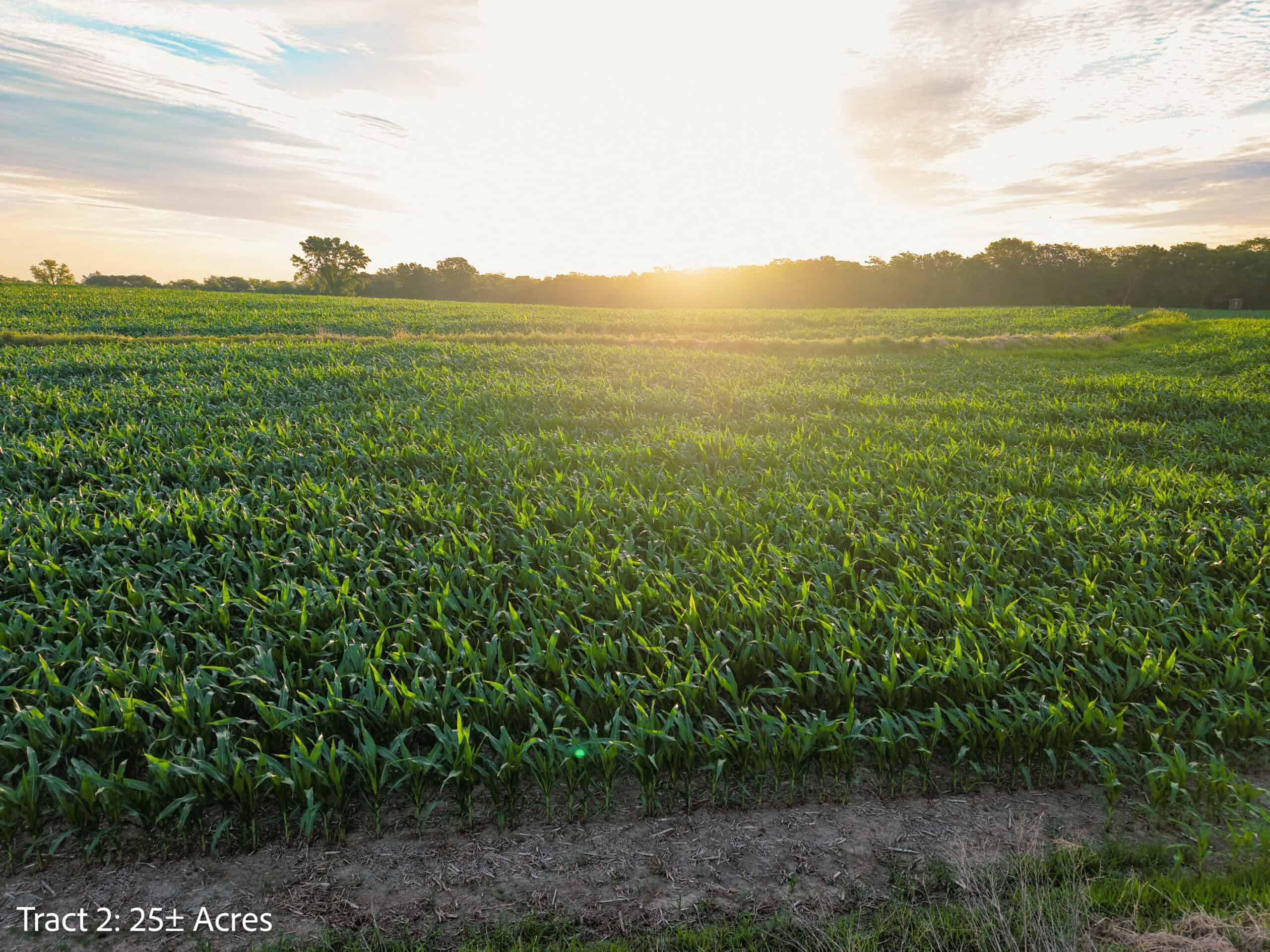 Exceptional ±25-acre Lucas County farm near Woodburn IA