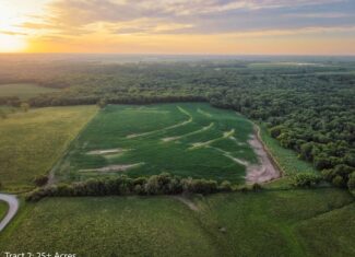 Exceptional ±25-acre Lucas County farm near Woodburn IA