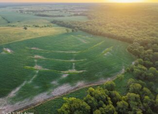 Exceptional ±25-acre Lucas County farm near Woodburn IA