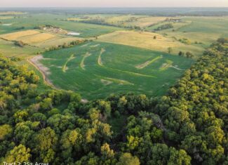 Exceptional ±25-acre Lucas County farm near Woodburn IA