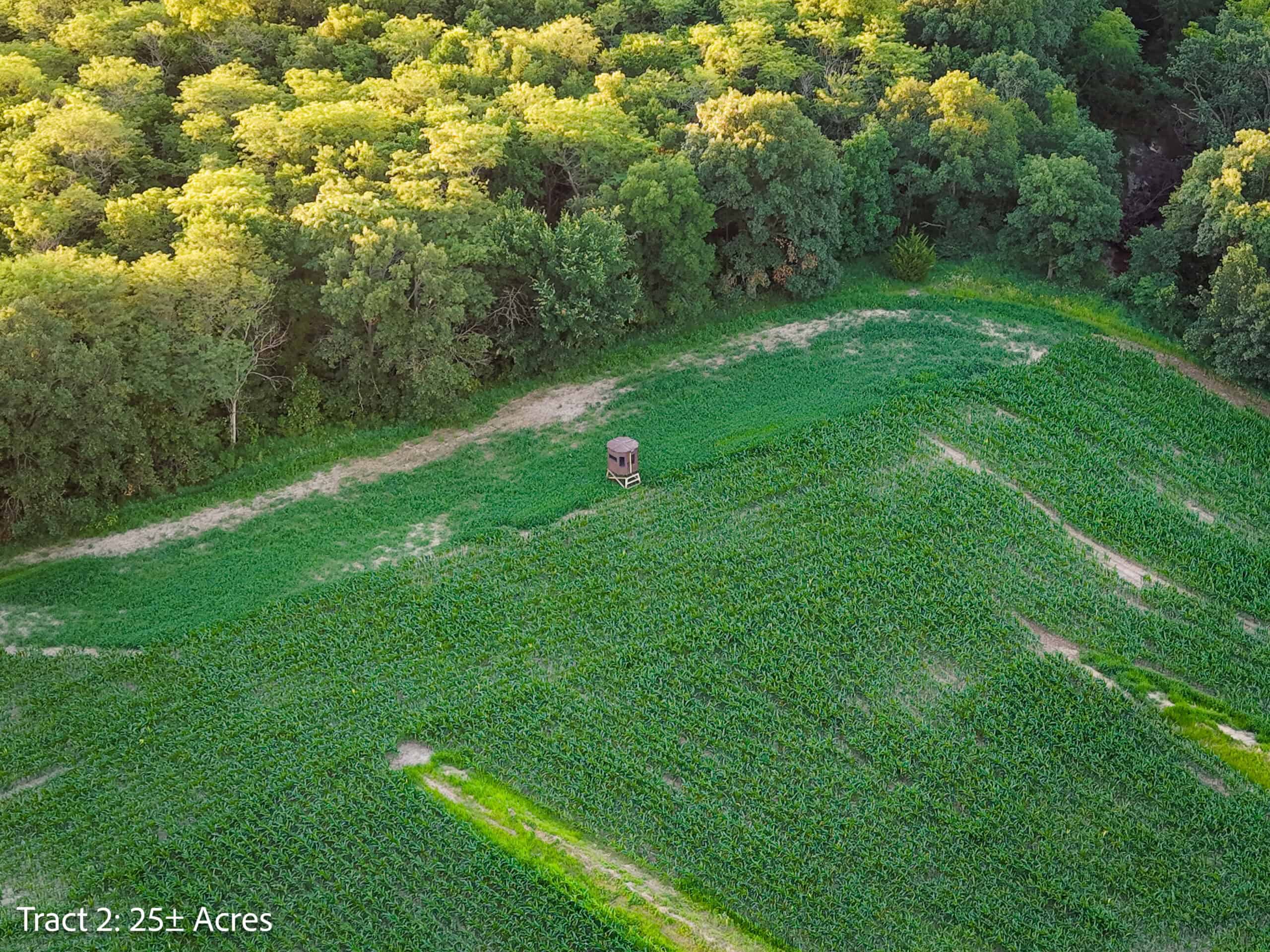 Exceptional ±25-acre Lucas County farm near Woodburn IA