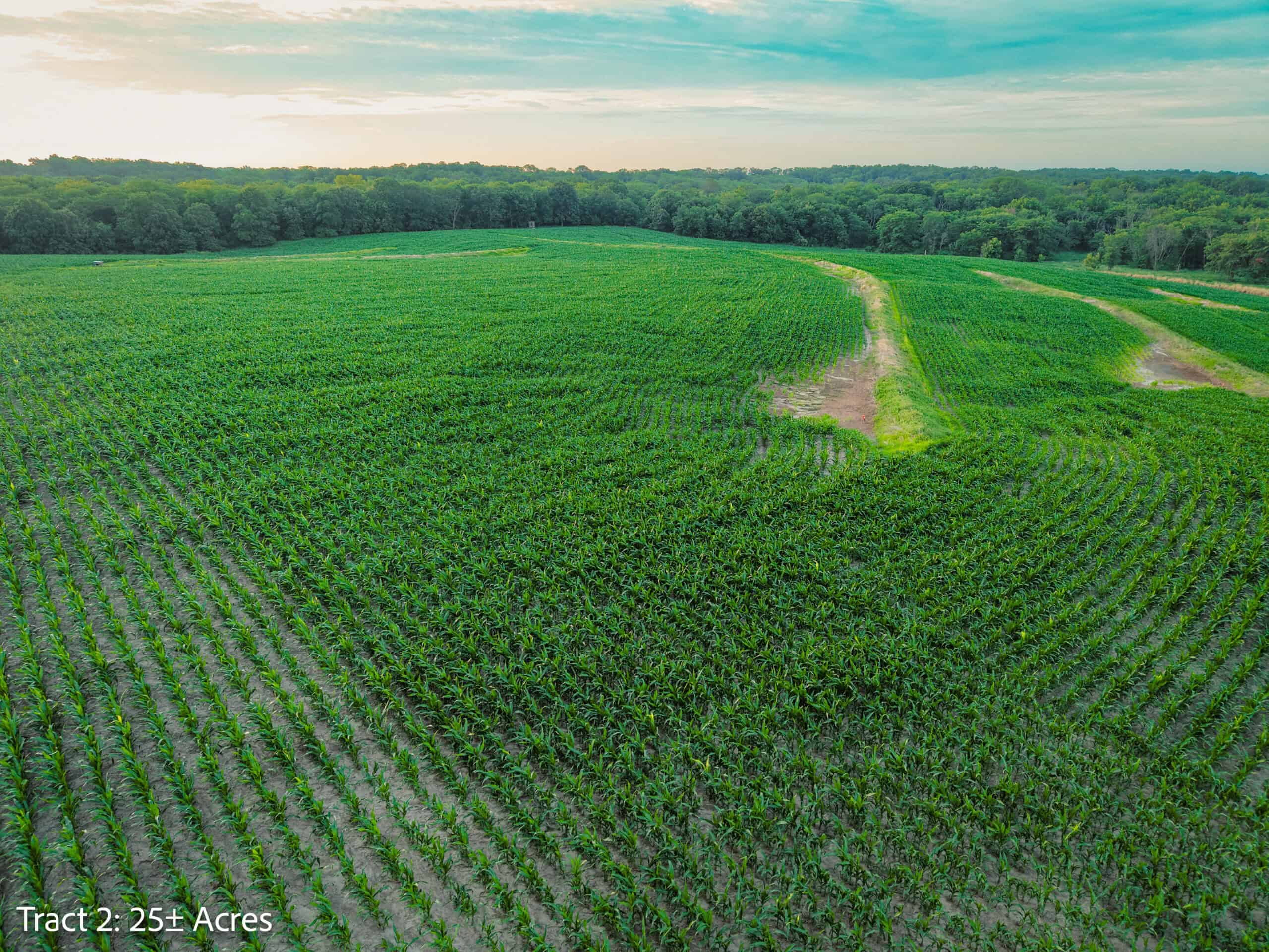 Exceptional ±25-acre Lucas County farm near Woodburn IA