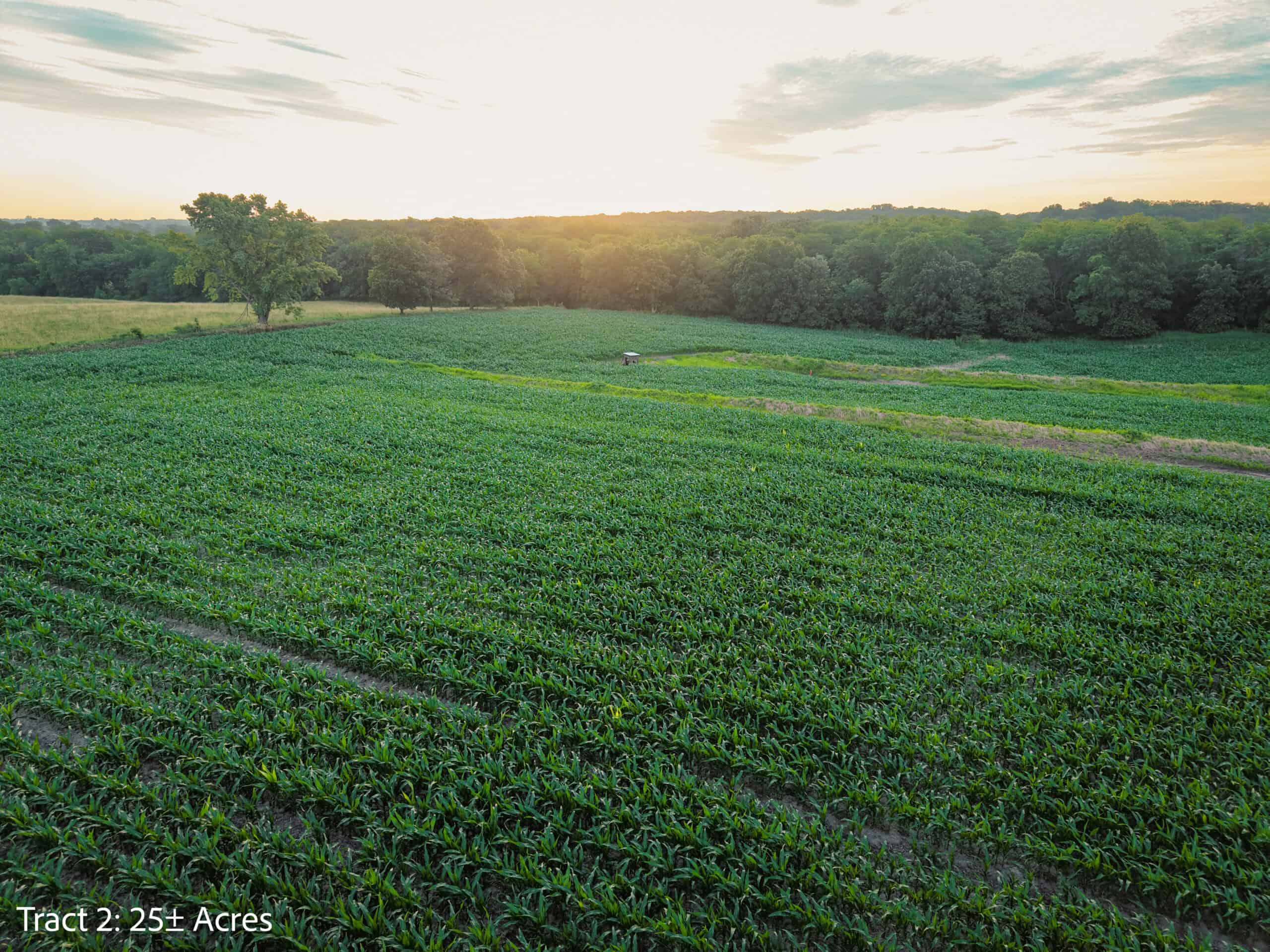 Exceptional ±25-acre Lucas County farm near Woodburn IA