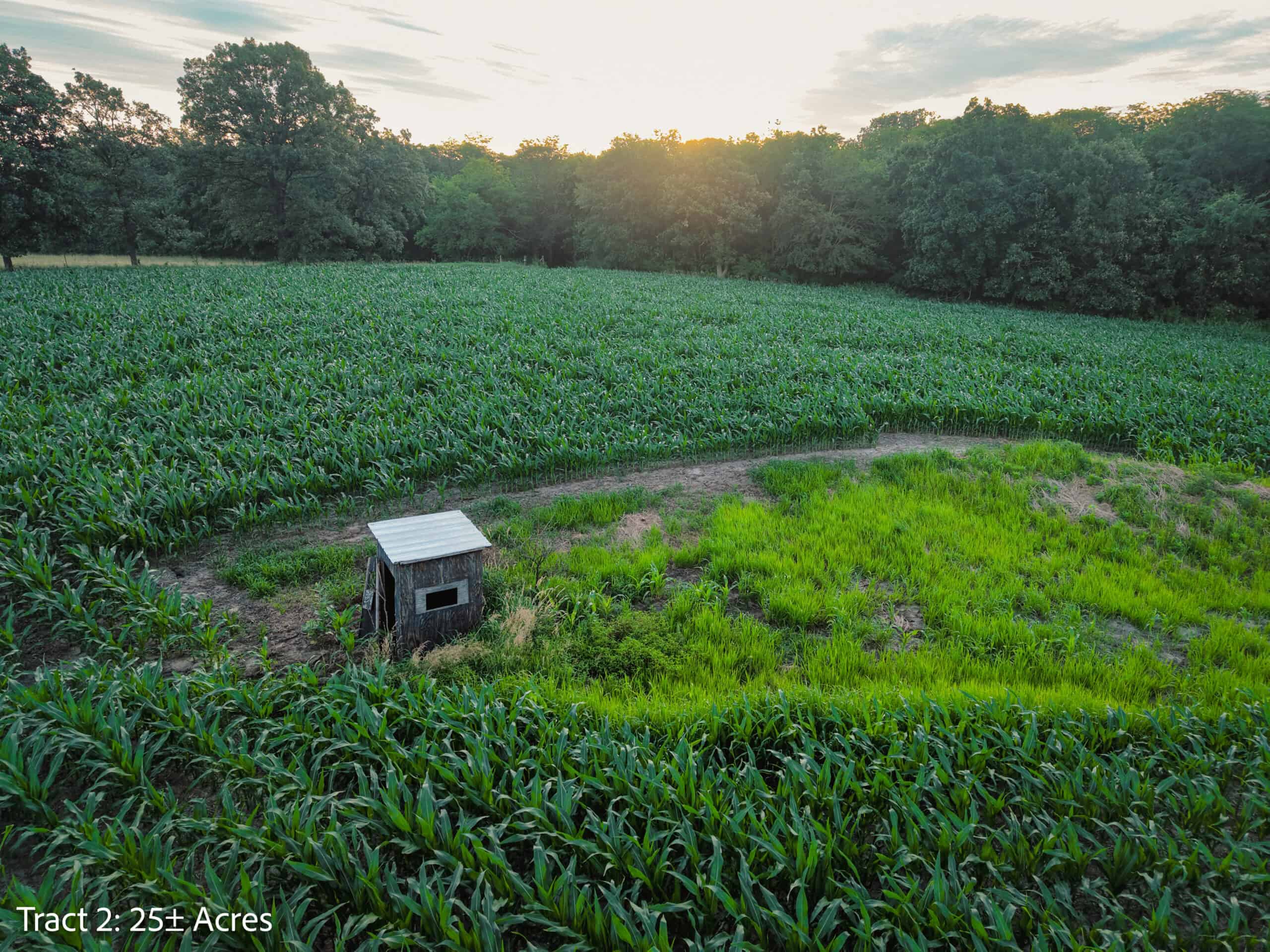 Exceptional ±25-acre Lucas County farm near Woodburn IA