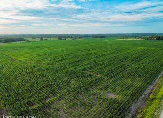 ±110-acre Lucas County farm near Woodburn IA